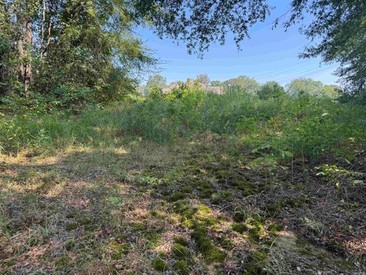 25 CALVARY CIRLE, LONOKE, AR 72086 - Image eb36da0c2fc88ba8cbfdcdb188e815d3/1186278935