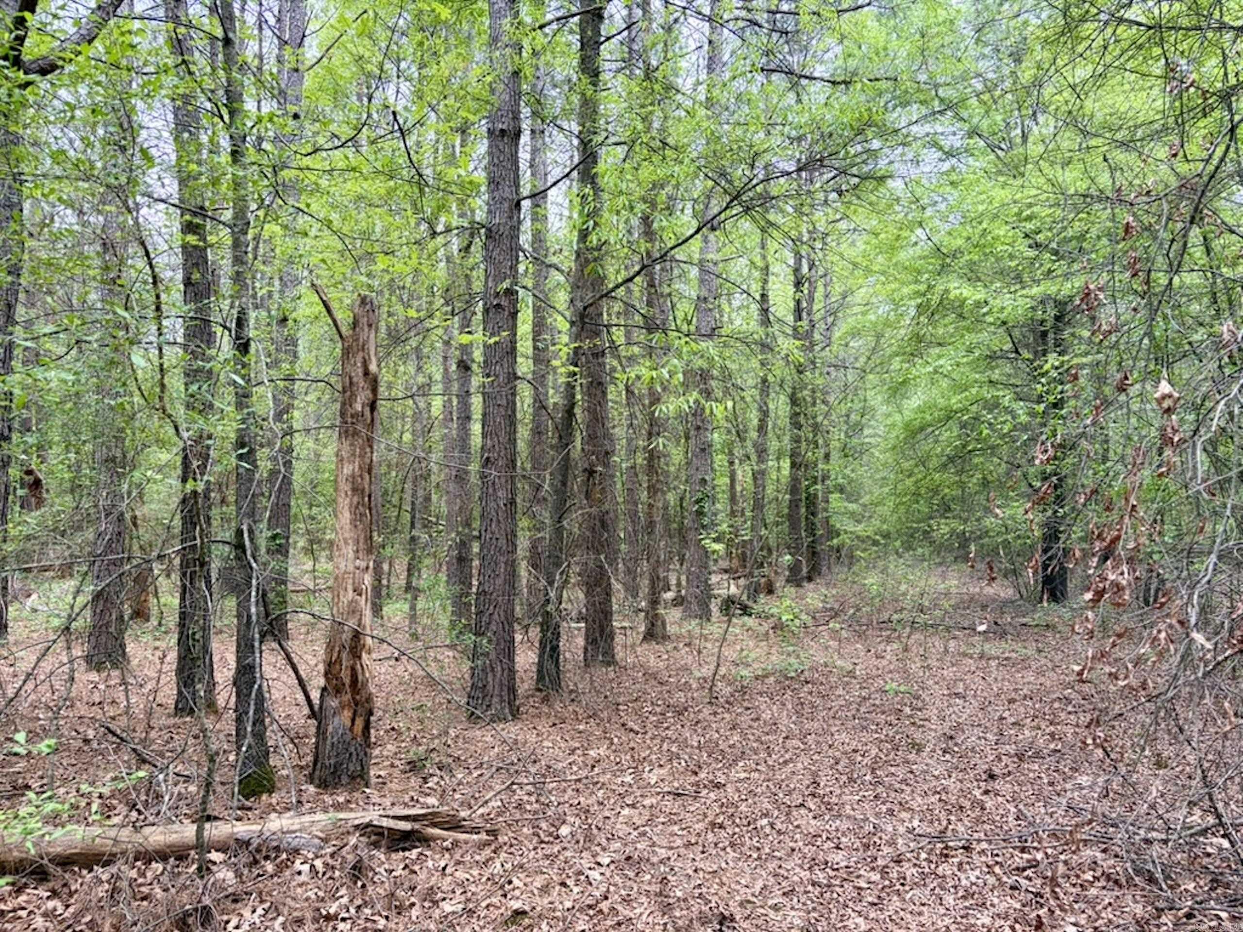 Not in Subdivision - Land