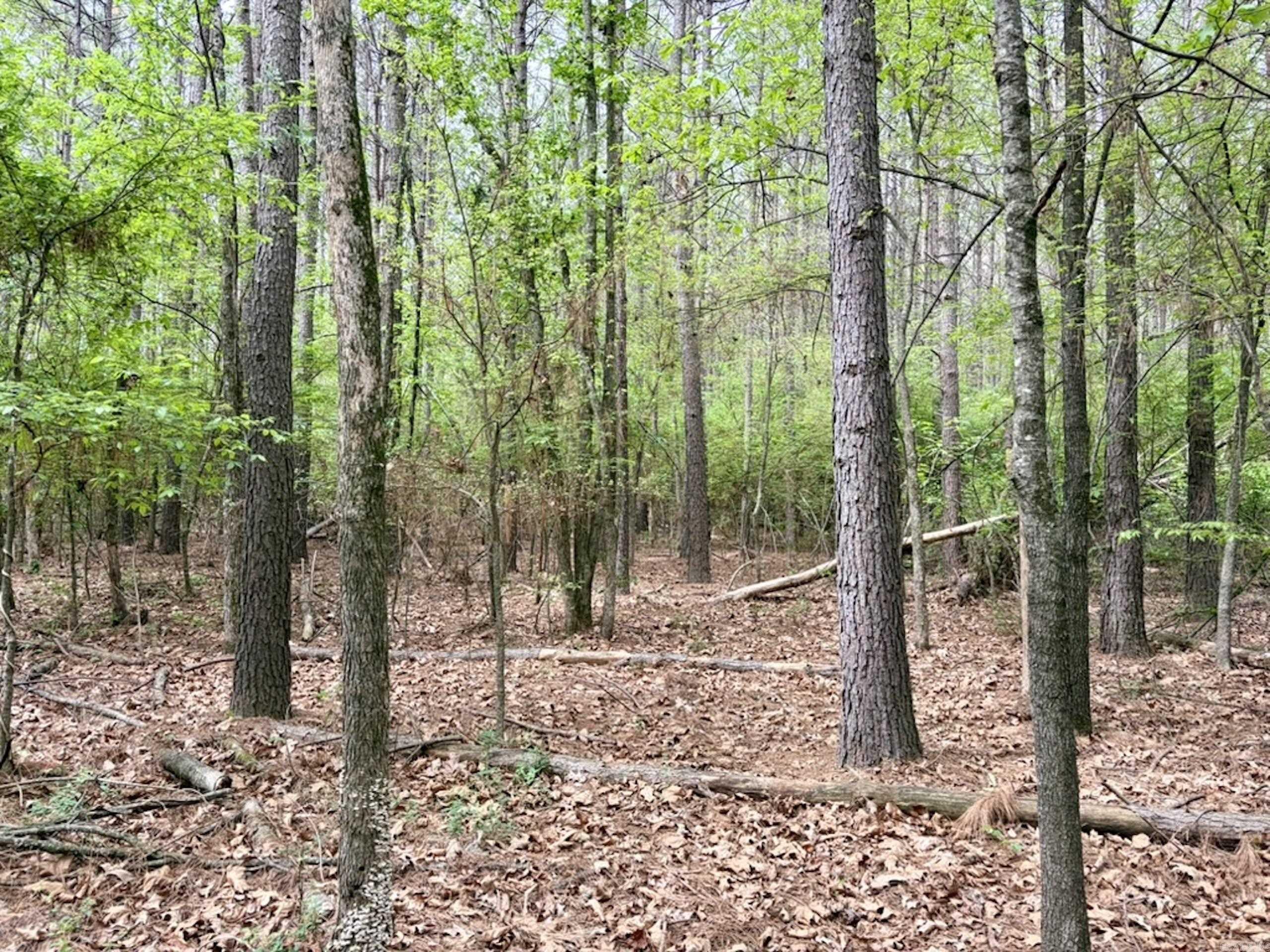 Not in Subdivision - Land