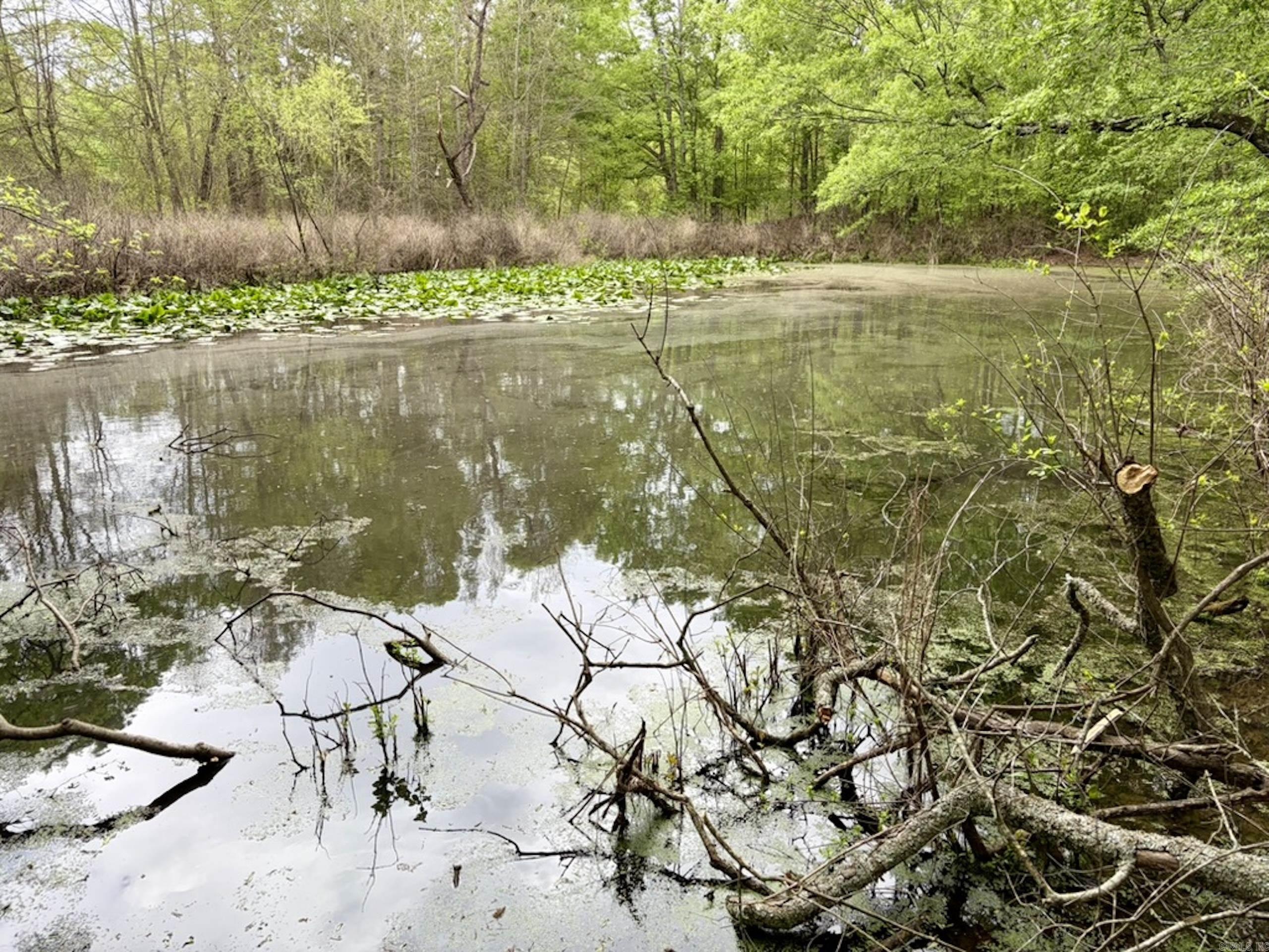 Not in Subdivision - Land