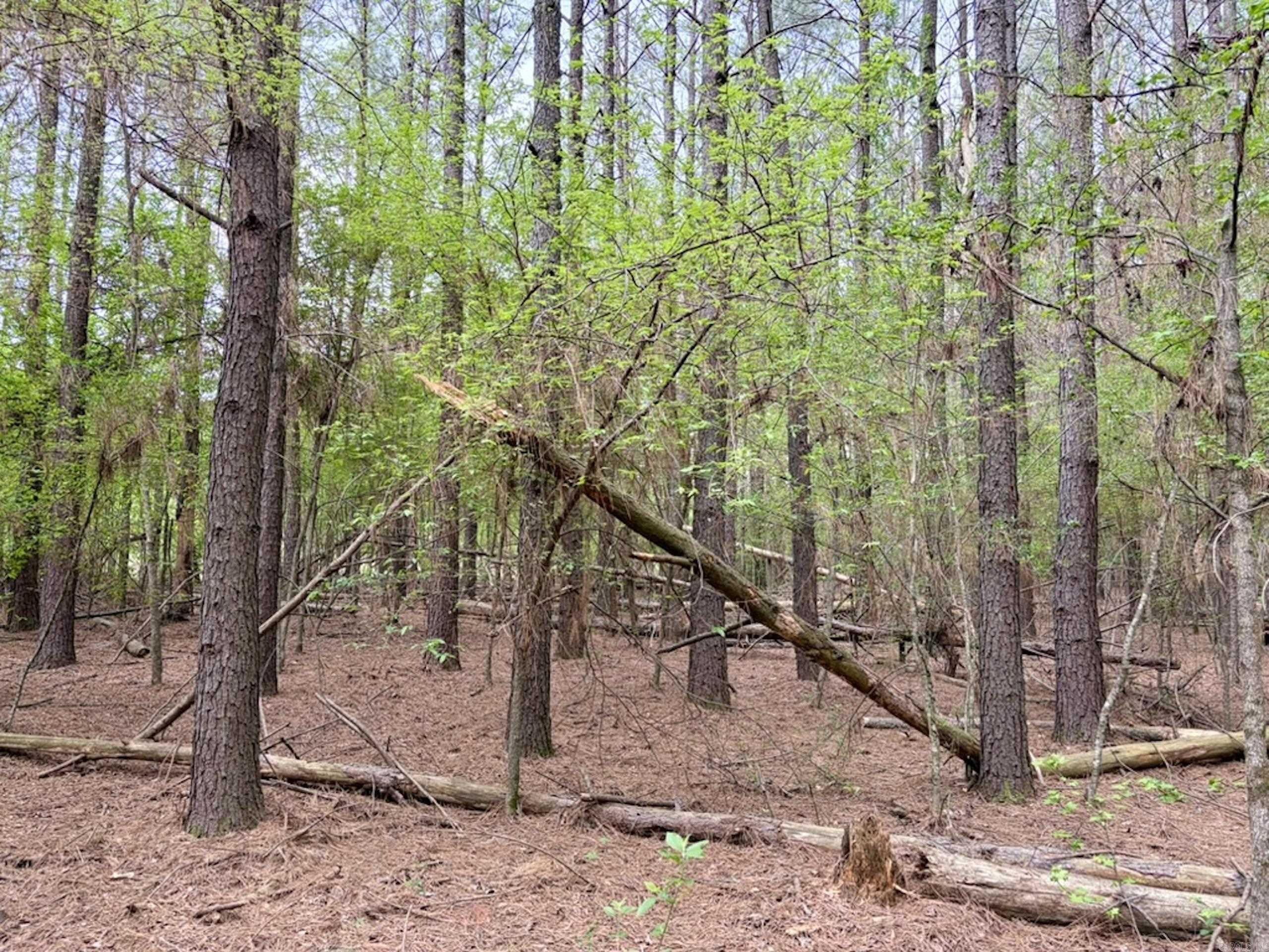 Not in Subdivision - Land