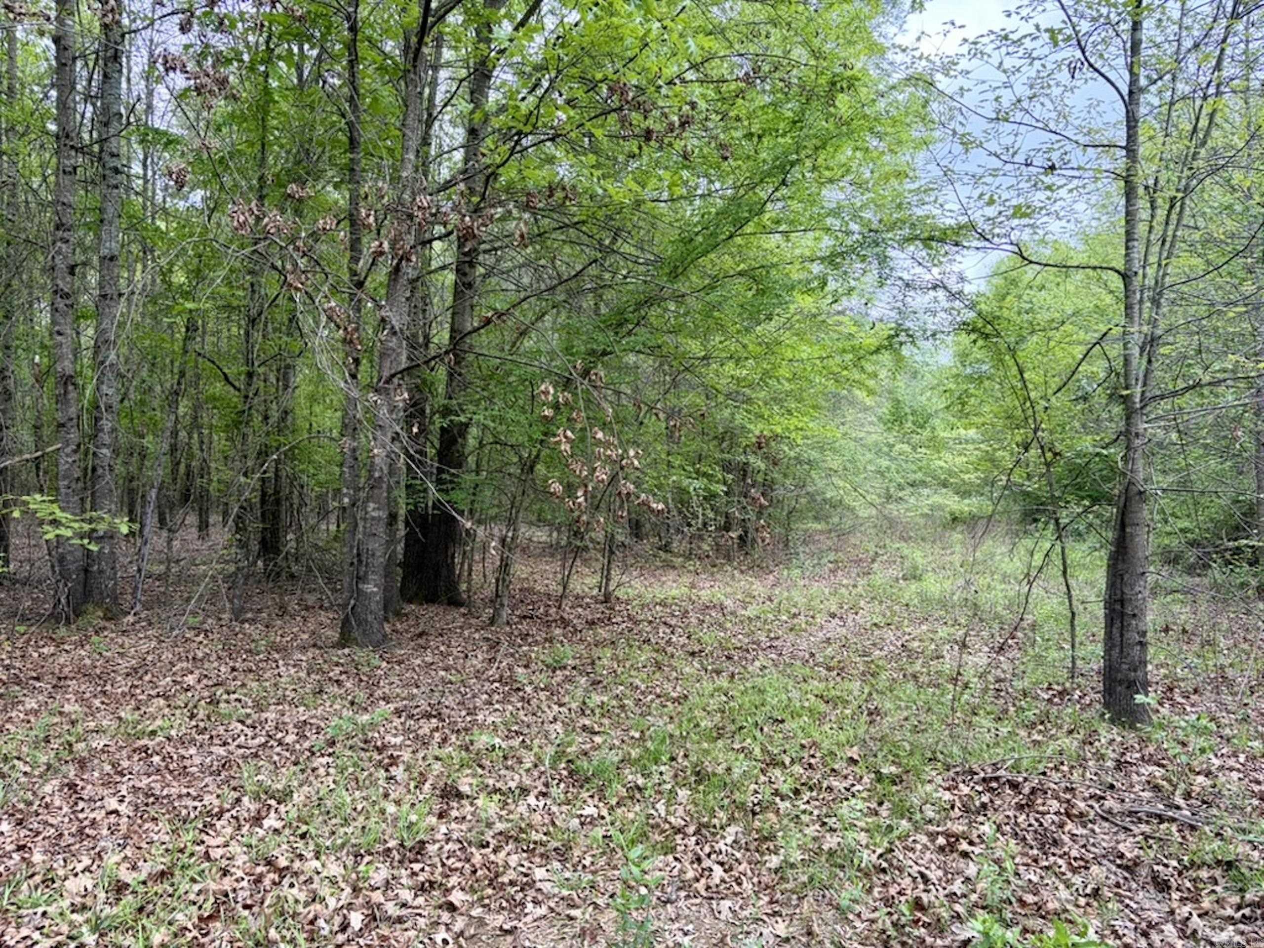 Not in Subdivision - Land