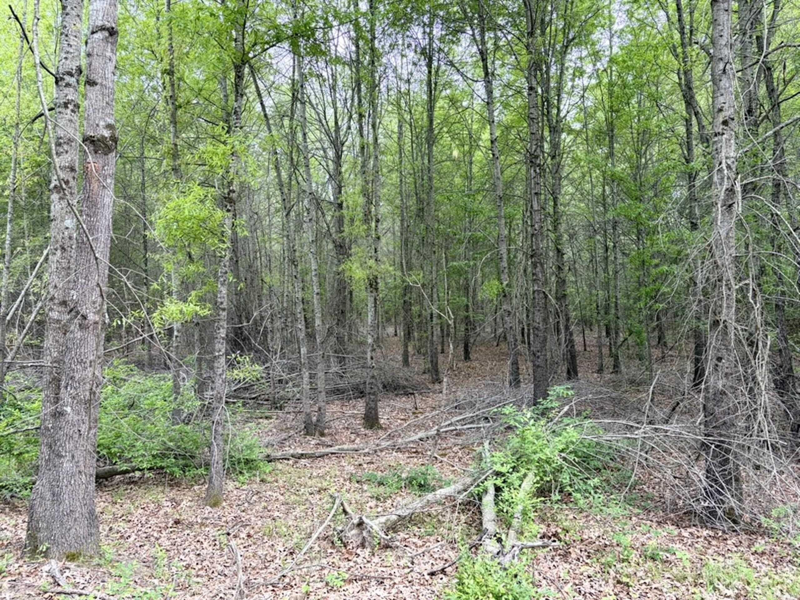 Not in Subdivision - Land