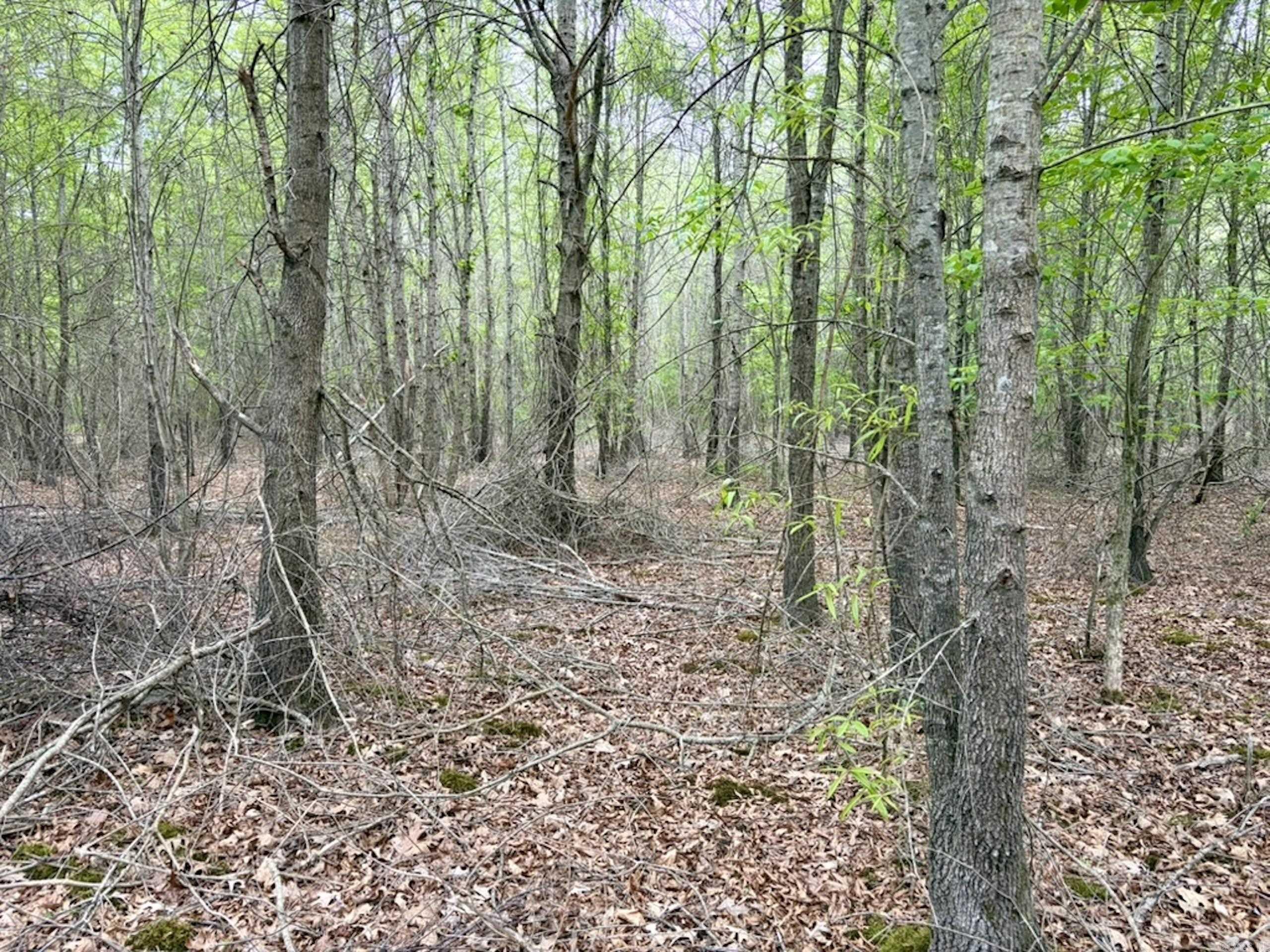 Not in Subdivision - Land