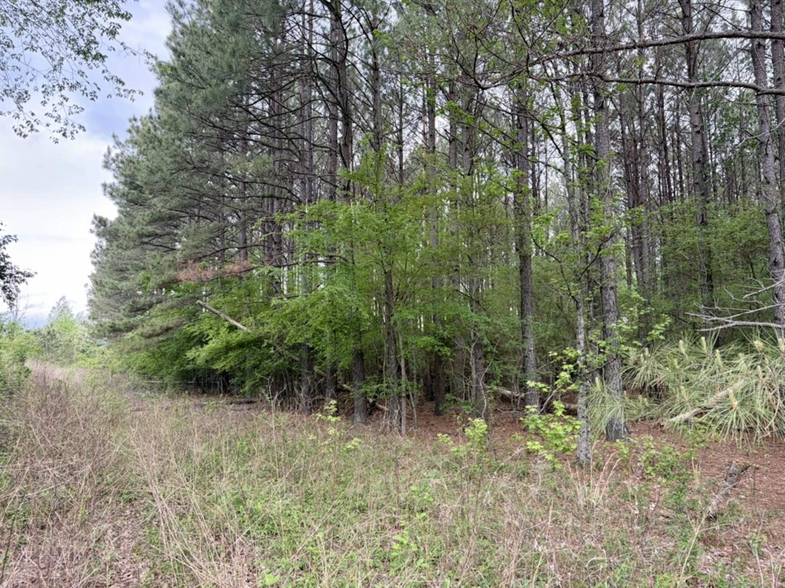 Not in Subdivision - Land