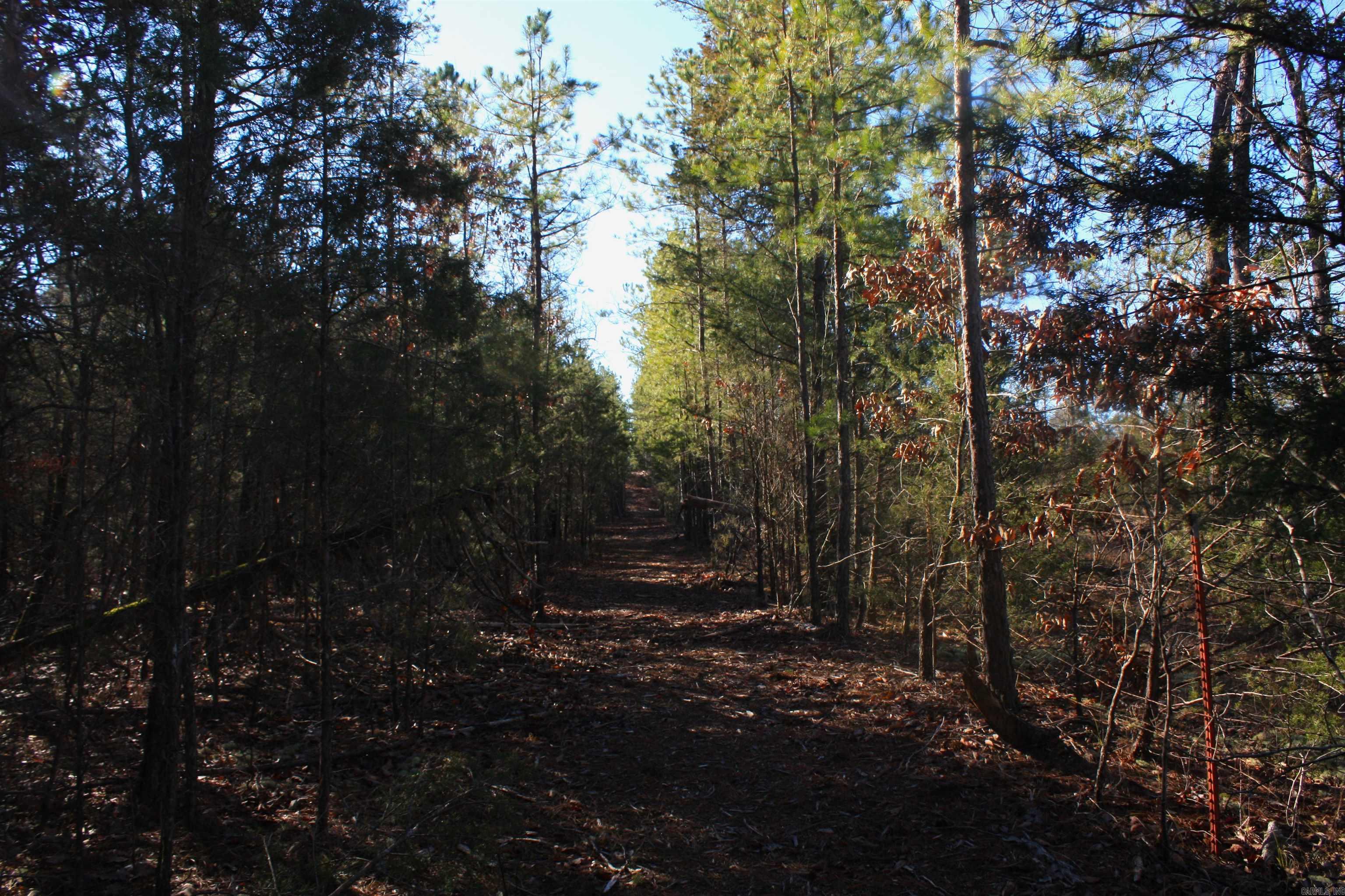 Not in Subdivision - Land