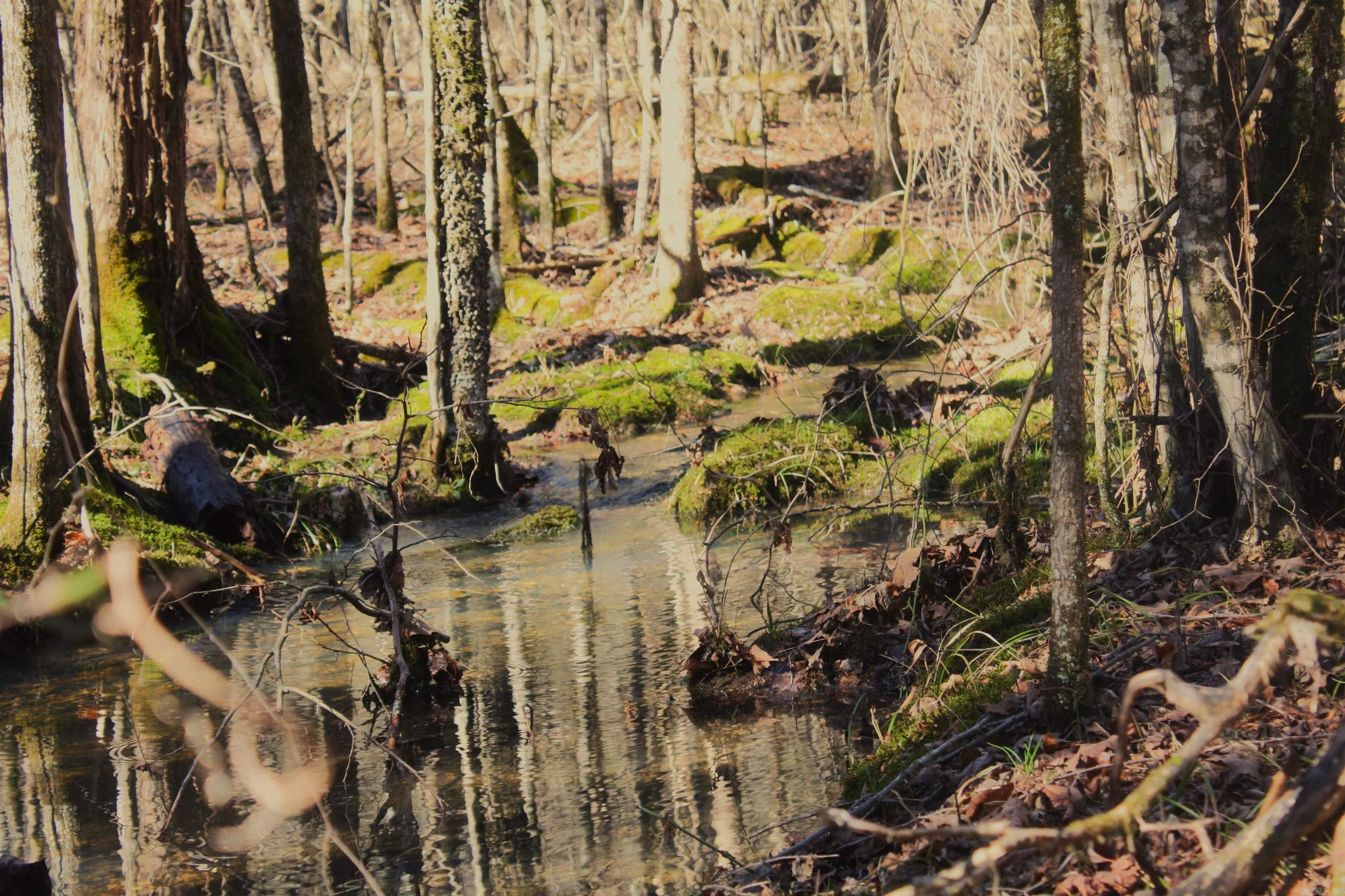 Not in Subdivision - Land