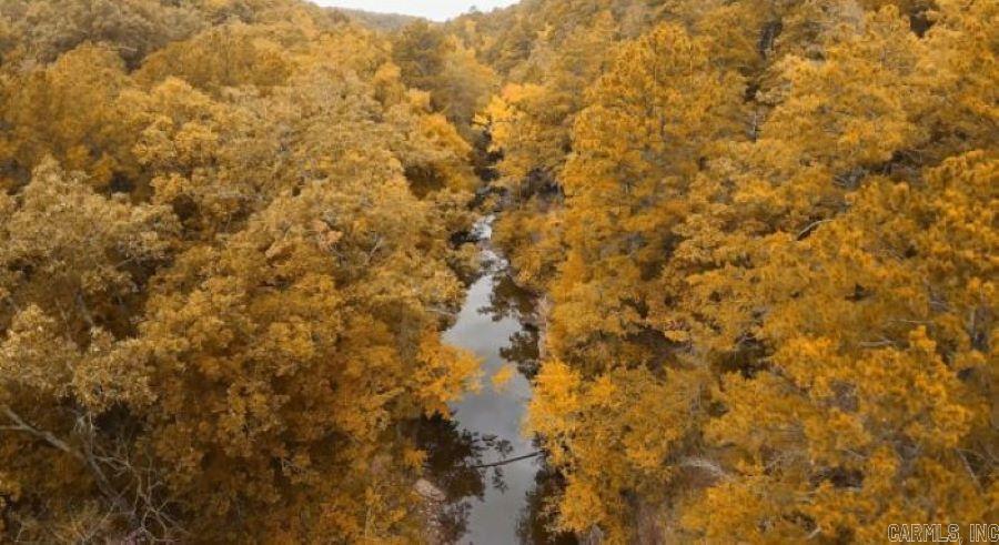 Beautiful wooded land with driving access throughout the lots. The creek runs behind the lots and is an absolute stunning view! Perfect hunting land! Seller only owns 50% of mineral rights. If the entire property is sold to the same buyer (+/- 15.5 acres), all of the mineral rights the seller currently owns (50%) will convey. If the property is divided between buyers and less than the entire acreage is sold, no mineral rights convey.