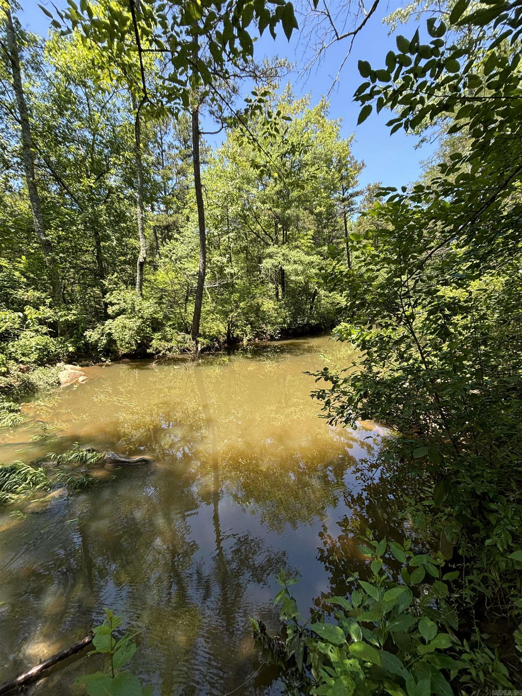 Beautiful wooded land with driving access throughout the lots. The creek runs behind the lots and is an absolute stunning view! Perfect hunting land! Seller only owns 50% of mineral rights. If the entire property is sold to the same buyer (+/- 15.5 acres), all of the mineral rights the seller currently owns (50%) will convey. If the property is divided between buyers and less than the entire acreage is sold, no mineral rights convey.