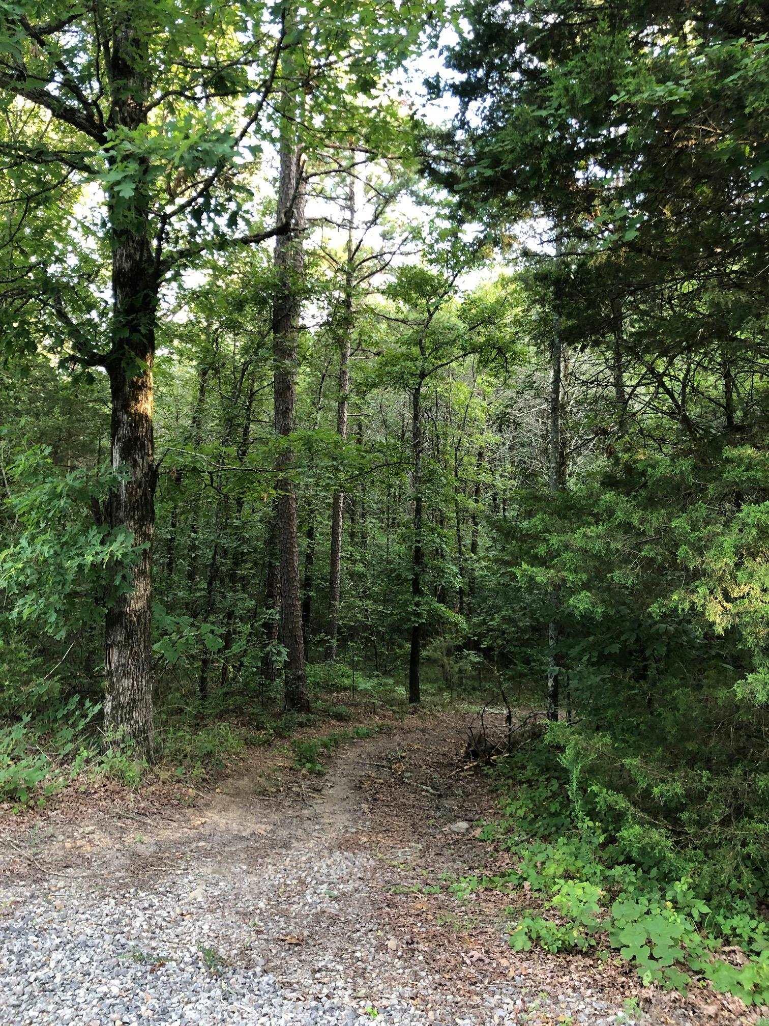 Edgewood Cove - Land