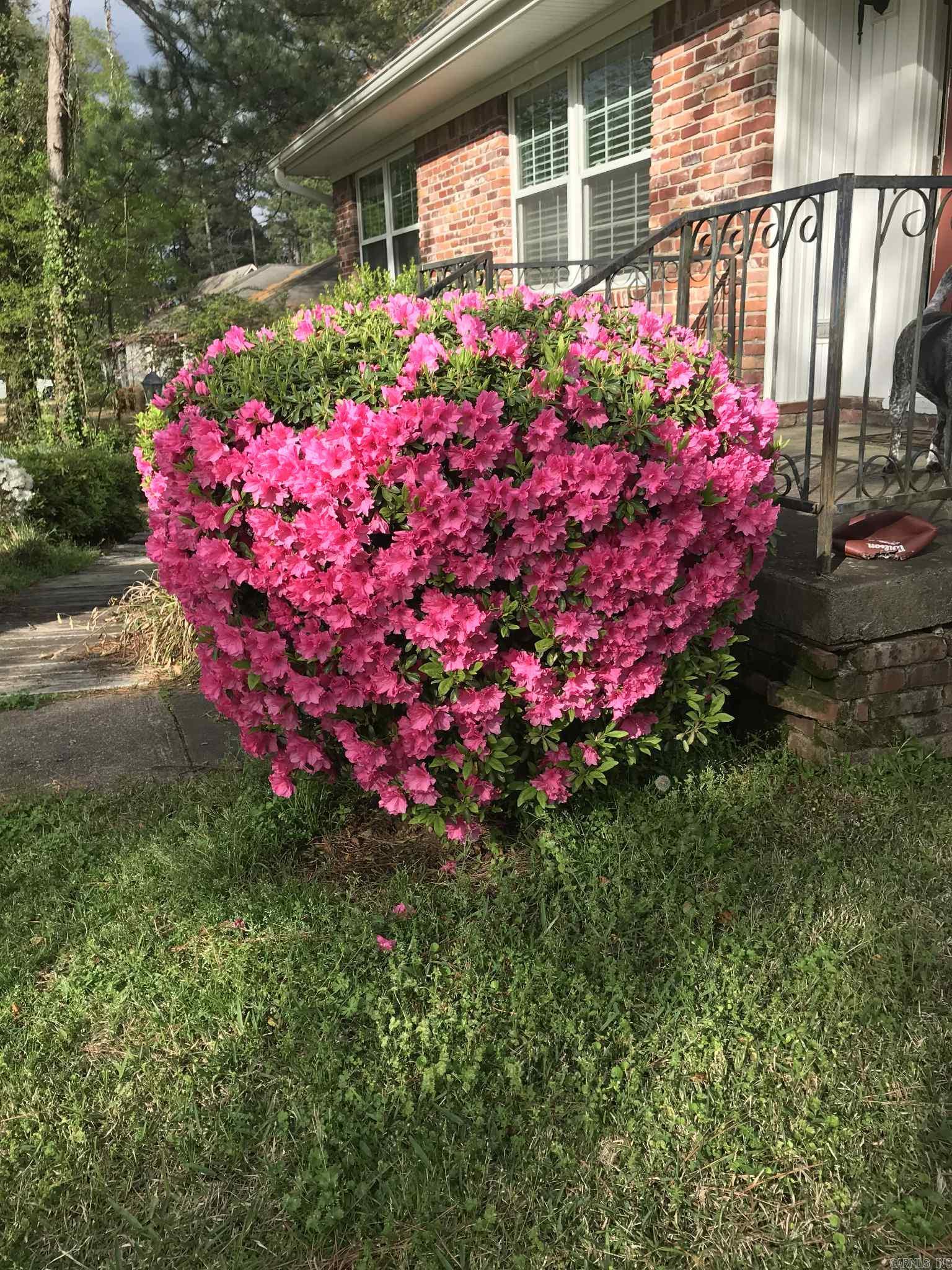 FOXWOOD J - Residential