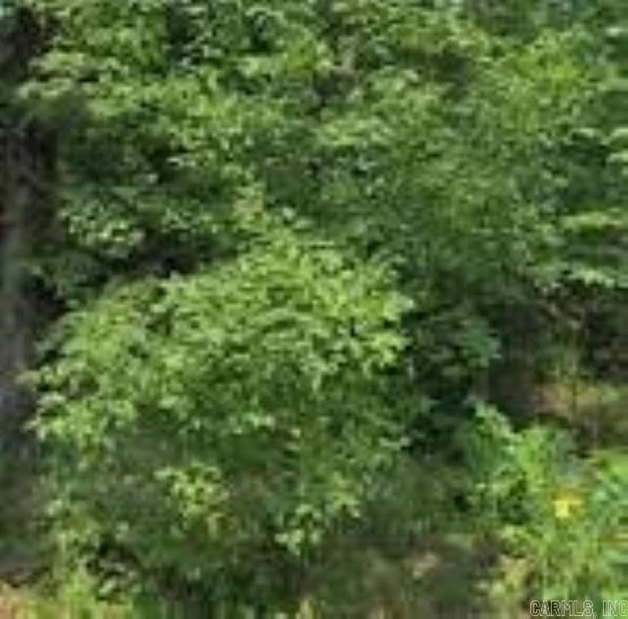 Almost a full acre of residential land located inside Mena city limits with full city services.  Extremely close to new bike paths.  Won't last long!
