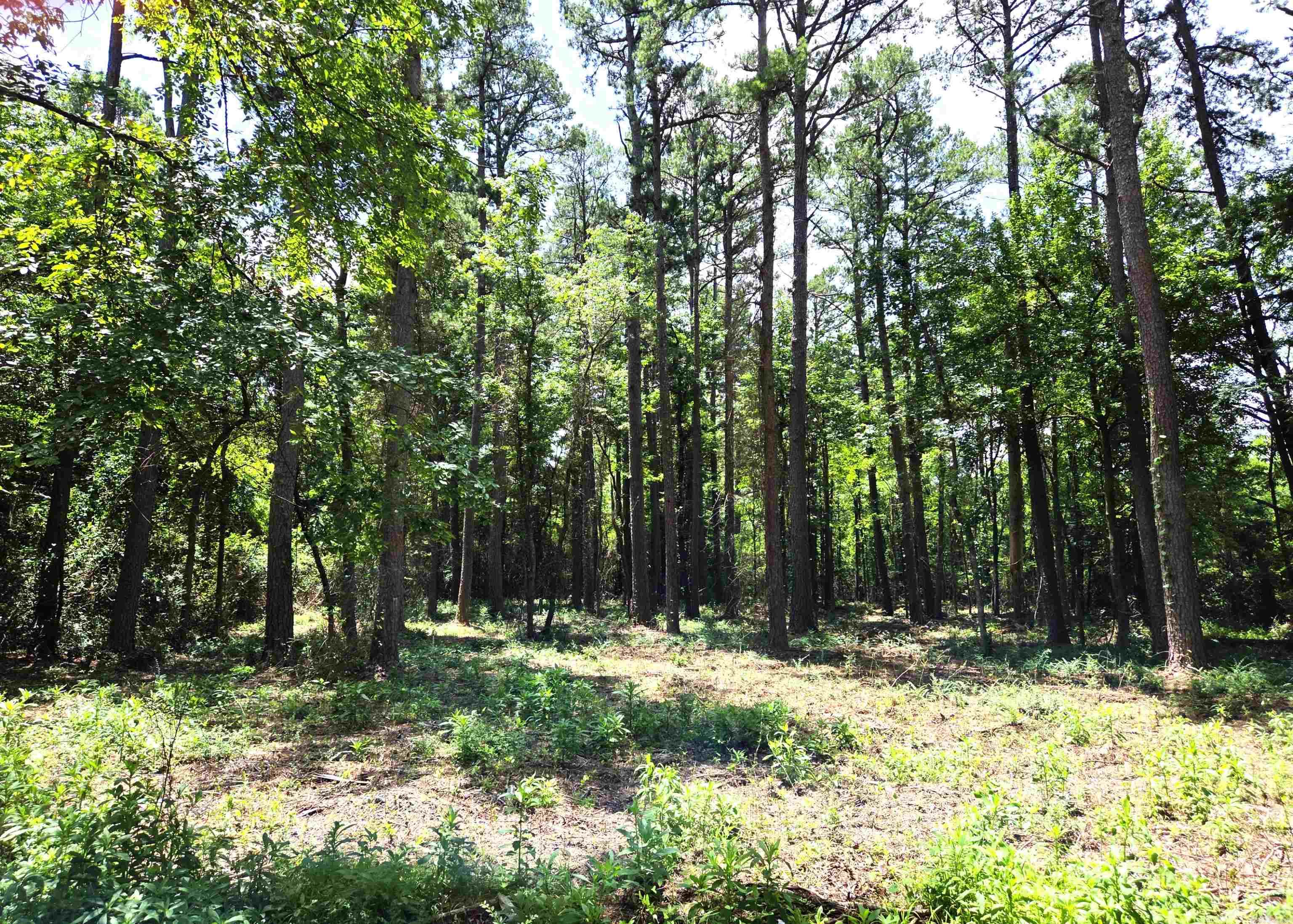 Almost a full acre of residential land located inside Mena city limits with full city services. Extremely close to new bike paths. Won't last long!