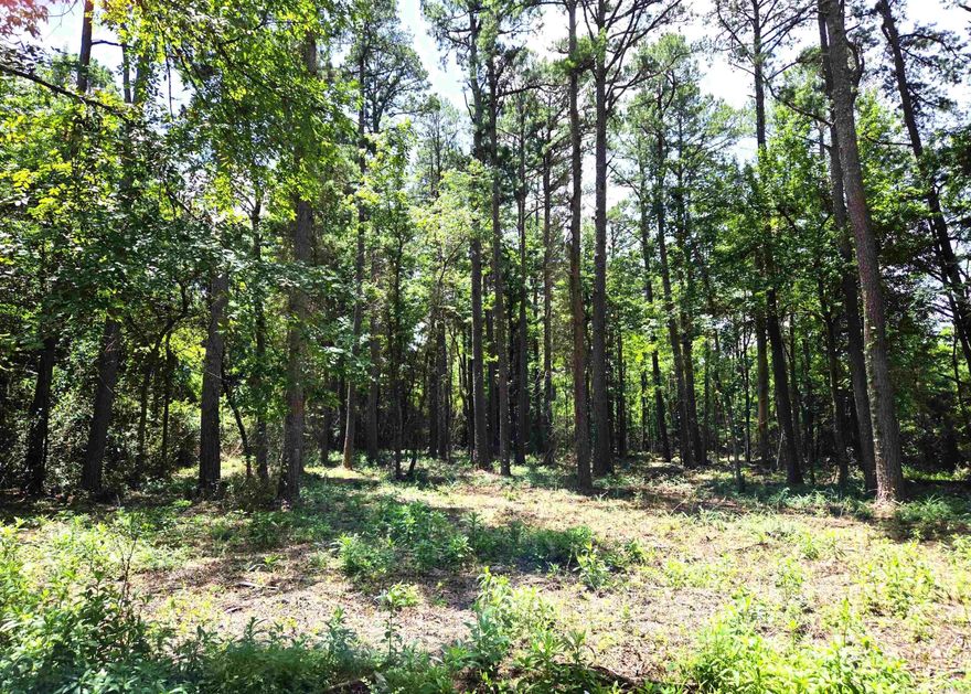 Almost a full acre of residential land located inside Mena city limits with full city services.  Extremely close to new bike paths.  Won't last long!