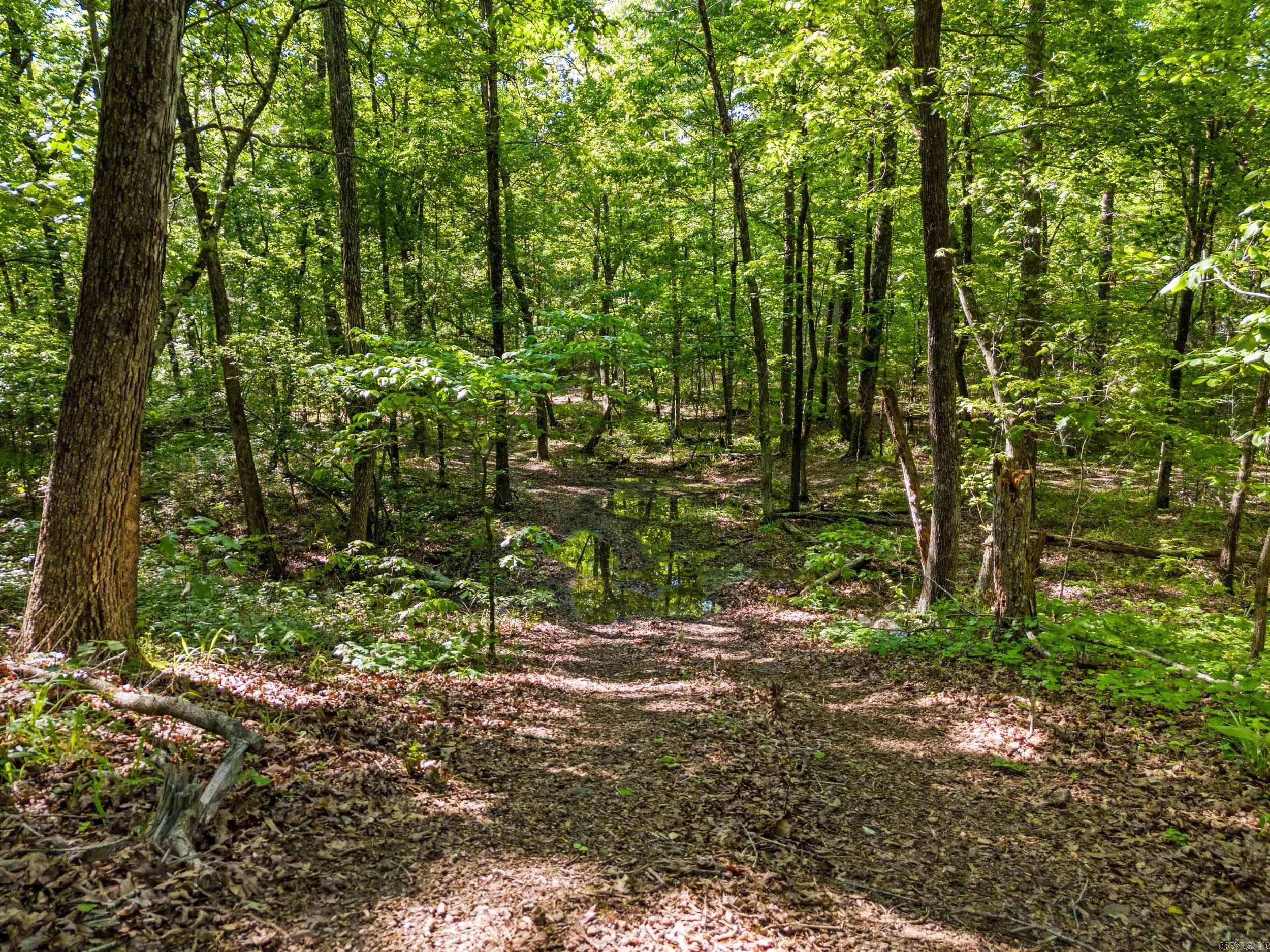 DOGWOOD TRAIL ESTATES - Residential