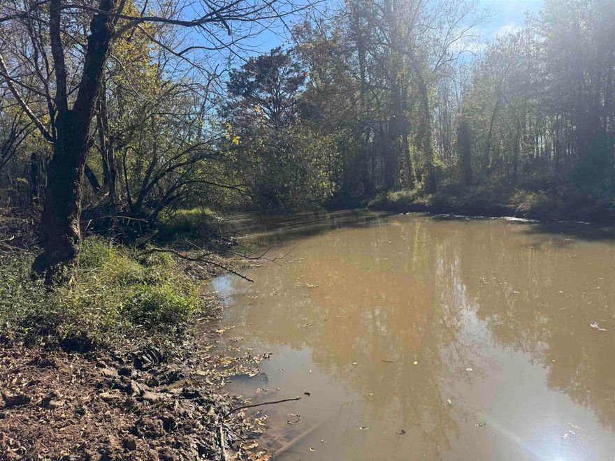 Outdoorsman's Paradise – Premier Hunting & Fishing Property  Discover a rare opportunity to own an outdoor haven designed for the avid hunter and angler. This exceptional property has been transformed from its CRP roots into a meticulously developed game reserve, perfect for deer, duck hunting, and fishing enthusiasts alike. The future for the property is bright, in 20-30 years, you are looking at a fully mature hardwood GTR. That is reassuring that the property will automatically create future investment and get better through the years like a fine wine.  Set within a neighborhood of well-regarded hunting farms, the location is unbeatable. The property is surrounded by Plum Bayou horseshoeing, neighboring impoundments, sloughs, bayous, and thriving agricultural fields, creating an ideal setting for a combo farm that appeals to serious outdoor sport enthusiasts. Recognized for quality and abundant game, many local farms boast impressive numbers, making this area a coveted destination for hunters.  Completed in March 2024, the development project added strategically placed wildlife openings and advanced levee systems around the eastern timber to provide optimal waterfowl habitat. Th