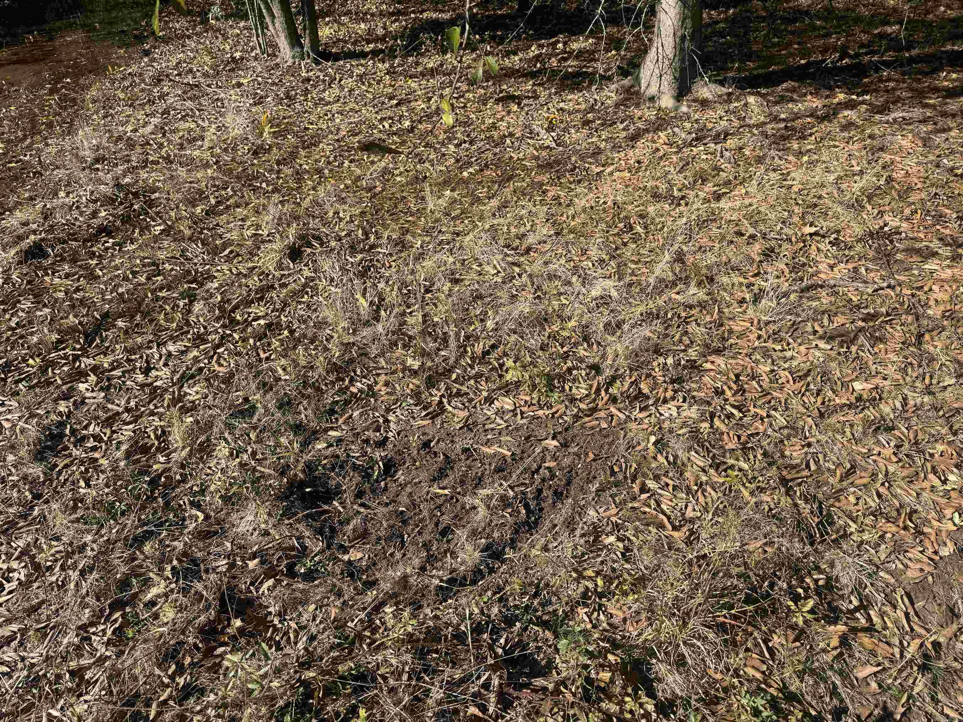 Not in Subdivision - Land