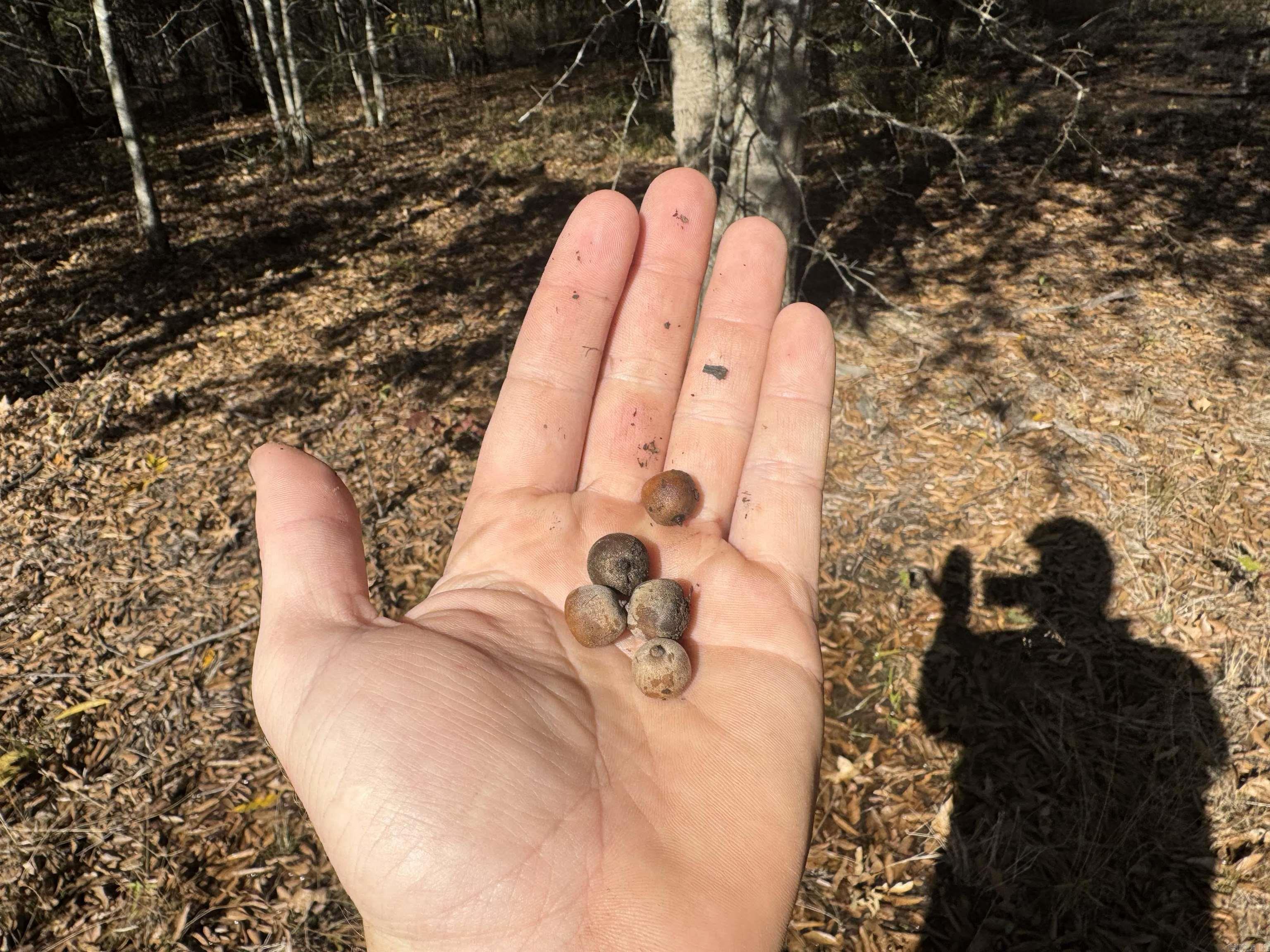 Not in Subdivision - Land