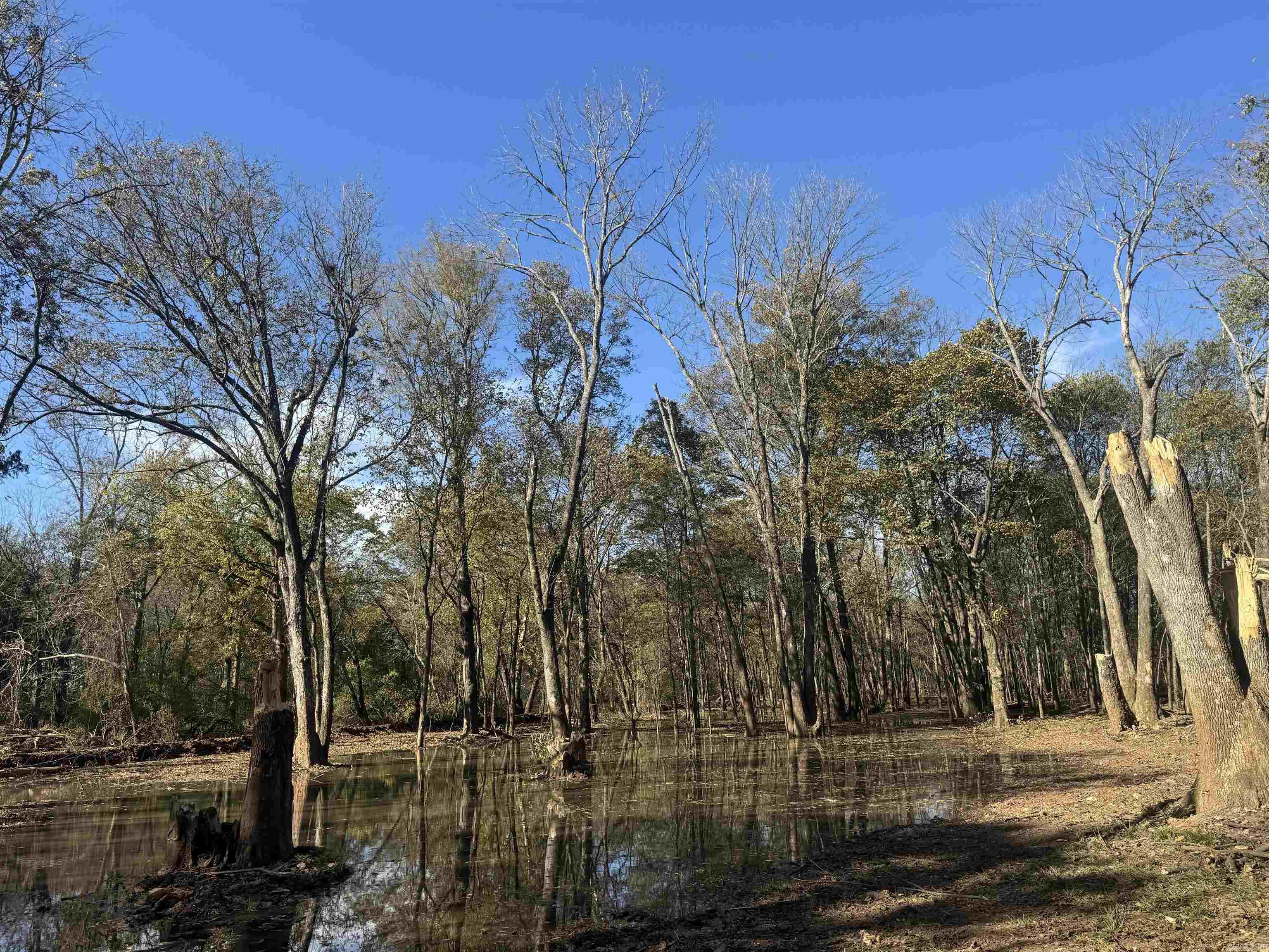 Not in Subdivision - Land