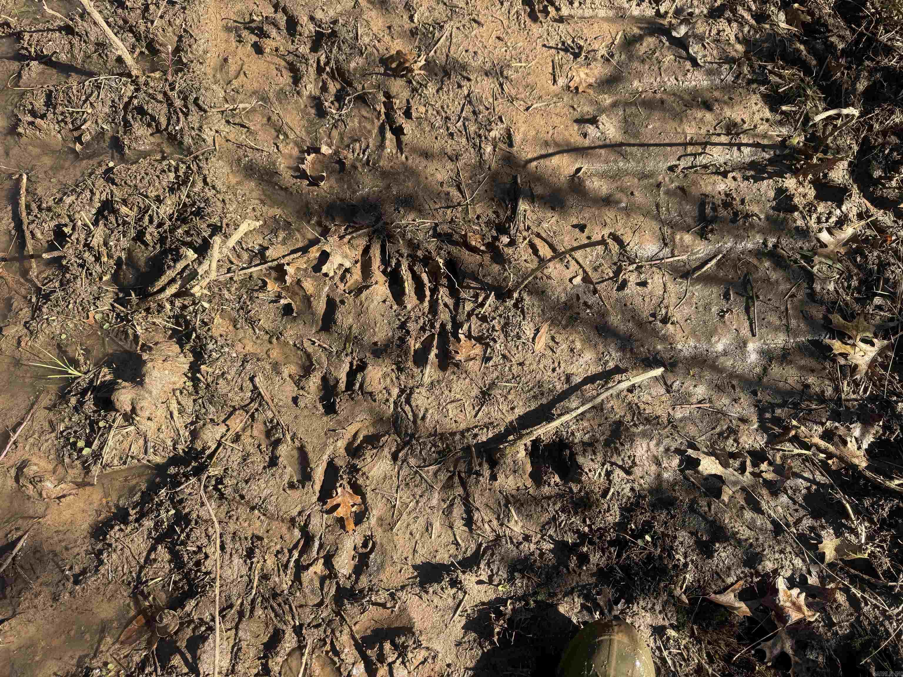 Not in Subdivision - Land