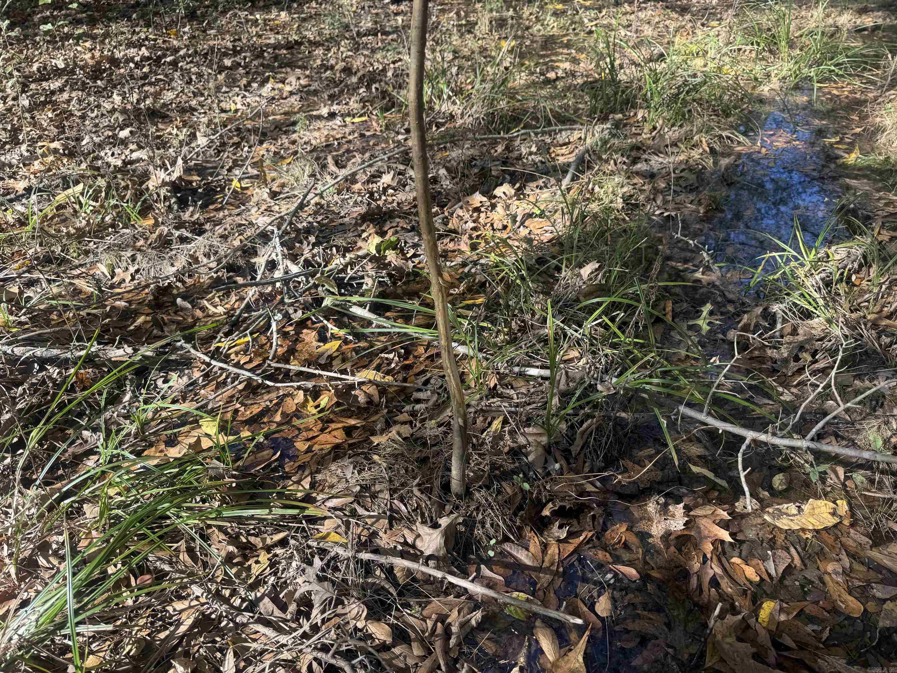 Not in Subdivision - Land