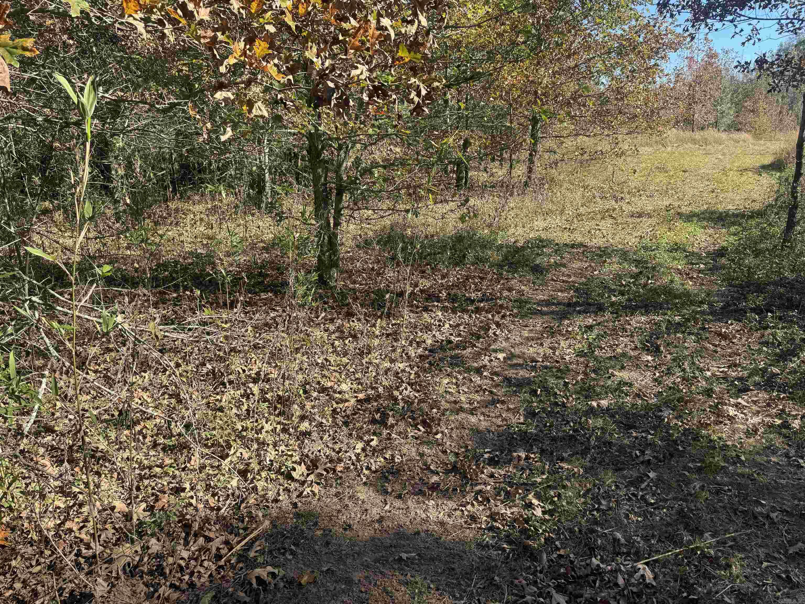 Not in Subdivision - Land