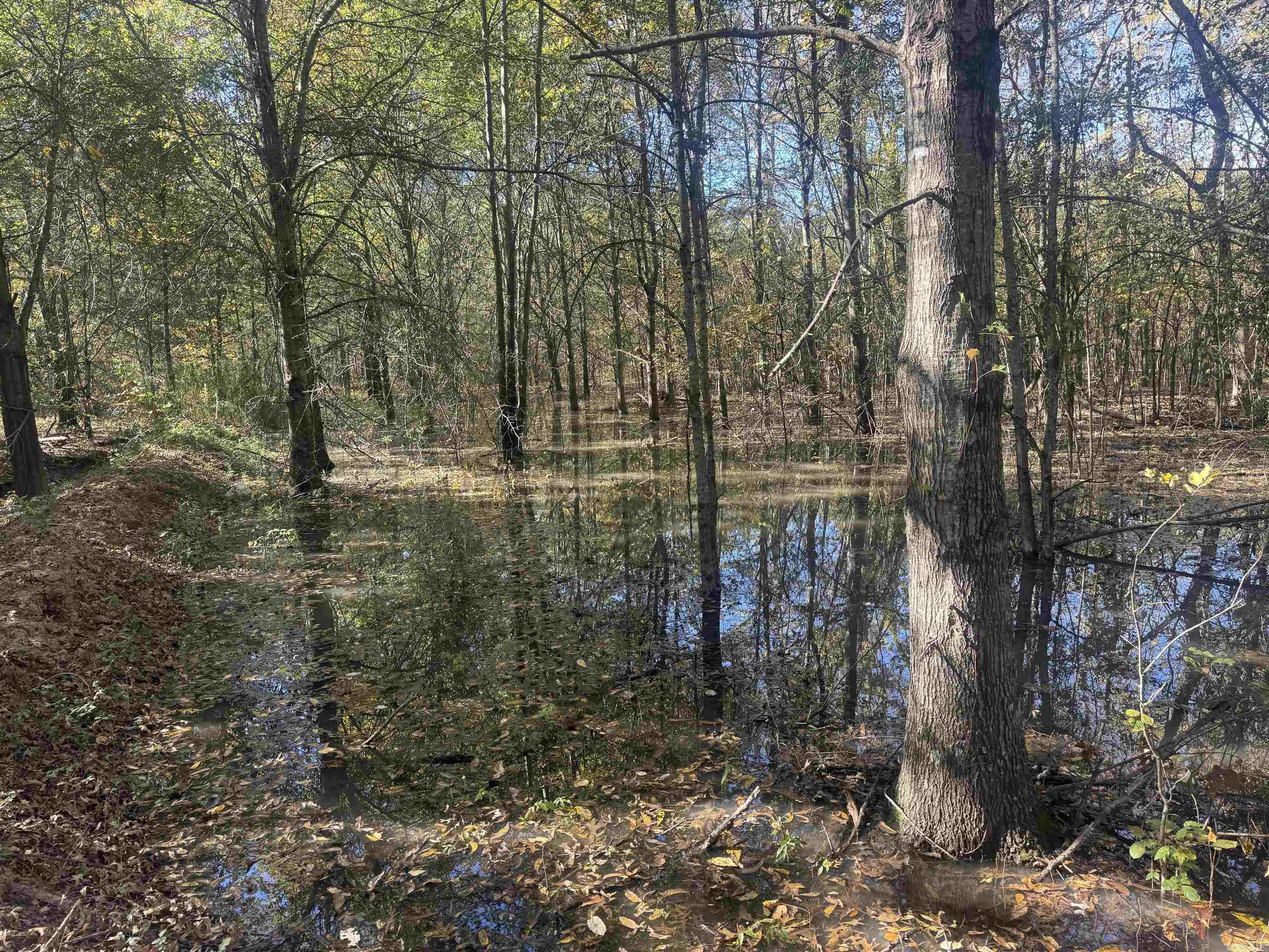 Not in Subdivision - Land