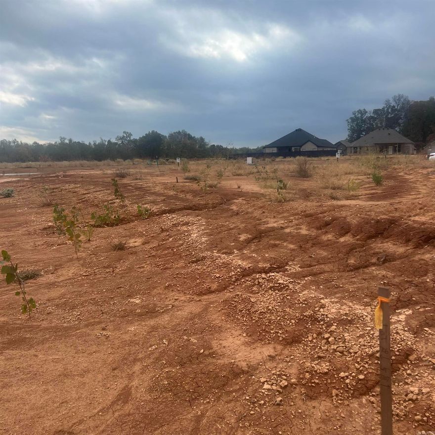 BRAND NEW Phase in Country Club of Arkansas - THE QUARTERS Phase XXIV-C! Come build your dream home on this beautiful level lot. John Wright Construction, who is an exquisite builder, will build to suit or you can choose from one of our custom home plans.