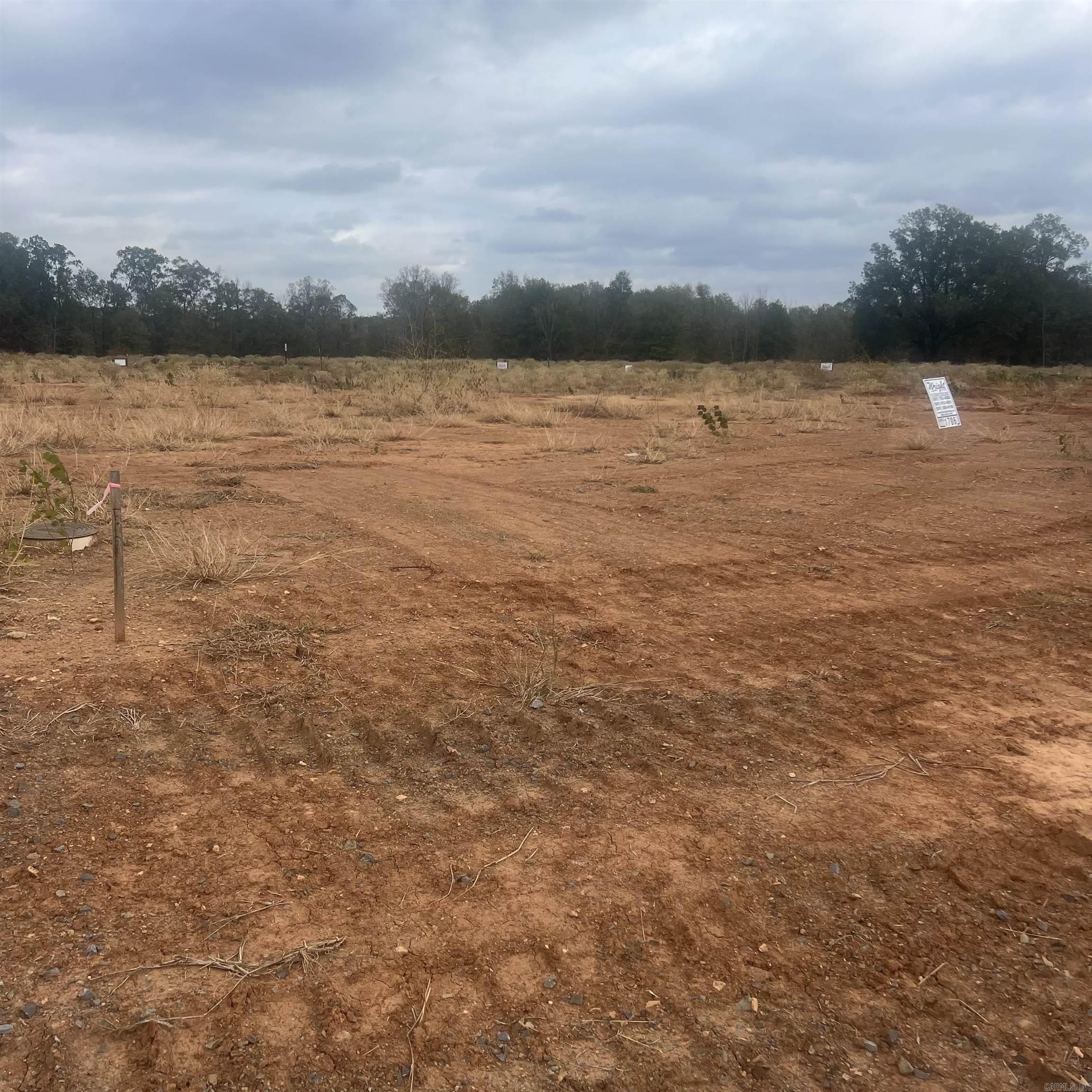 COUNTRY CLUB OF ARK THE - Land