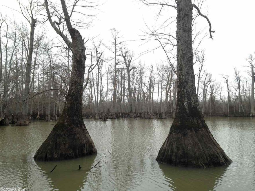 40 acres m/l for sale near Tuckerman, Arkansas on Village Creek. This beautiful property has highway 37 frontage on one side, county road 637 on another, and public access to Village Creek on the back side. Village Creek is known for it's big deer, ducks, and fishing. This place offers 3/4 of the property in an open field and the other 1/4 in woods. It would make for a great place to build a hunting cabin, house, or have it to hunt with great access to lots of public land.