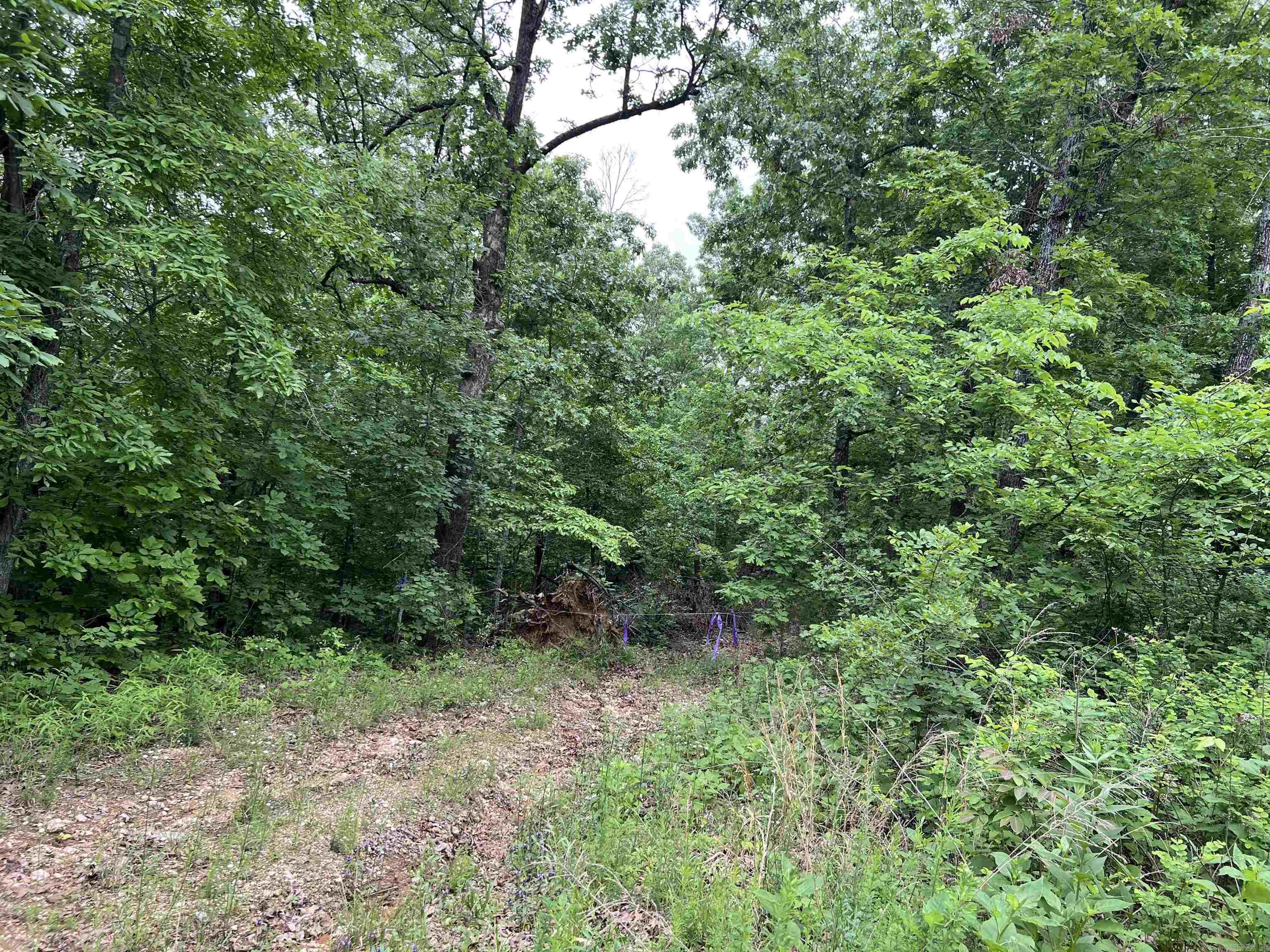 ACREAGE/RECREATIONAL 28.22 Acres all woodland, should be prime hunting off the beaten path on a platted road a short distance to county road. Offered @ $100,000