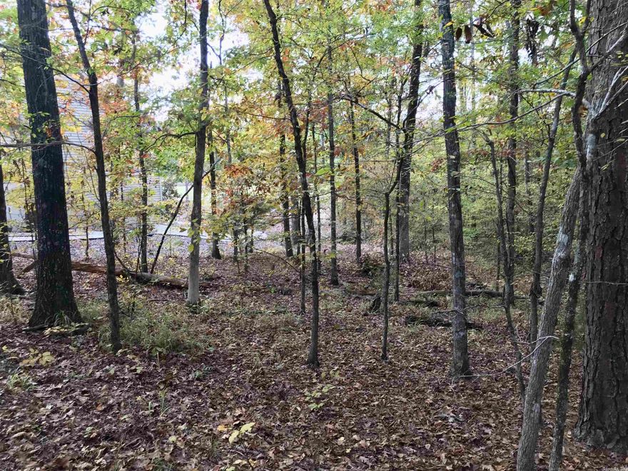 Nice lot with easing slope and common property joins to Isabella Golf course    close to shopping, restaurants, convenience store  Not a CORNER lot, but very good neighborhood Well Established neighborhood   East Gate is Very Close