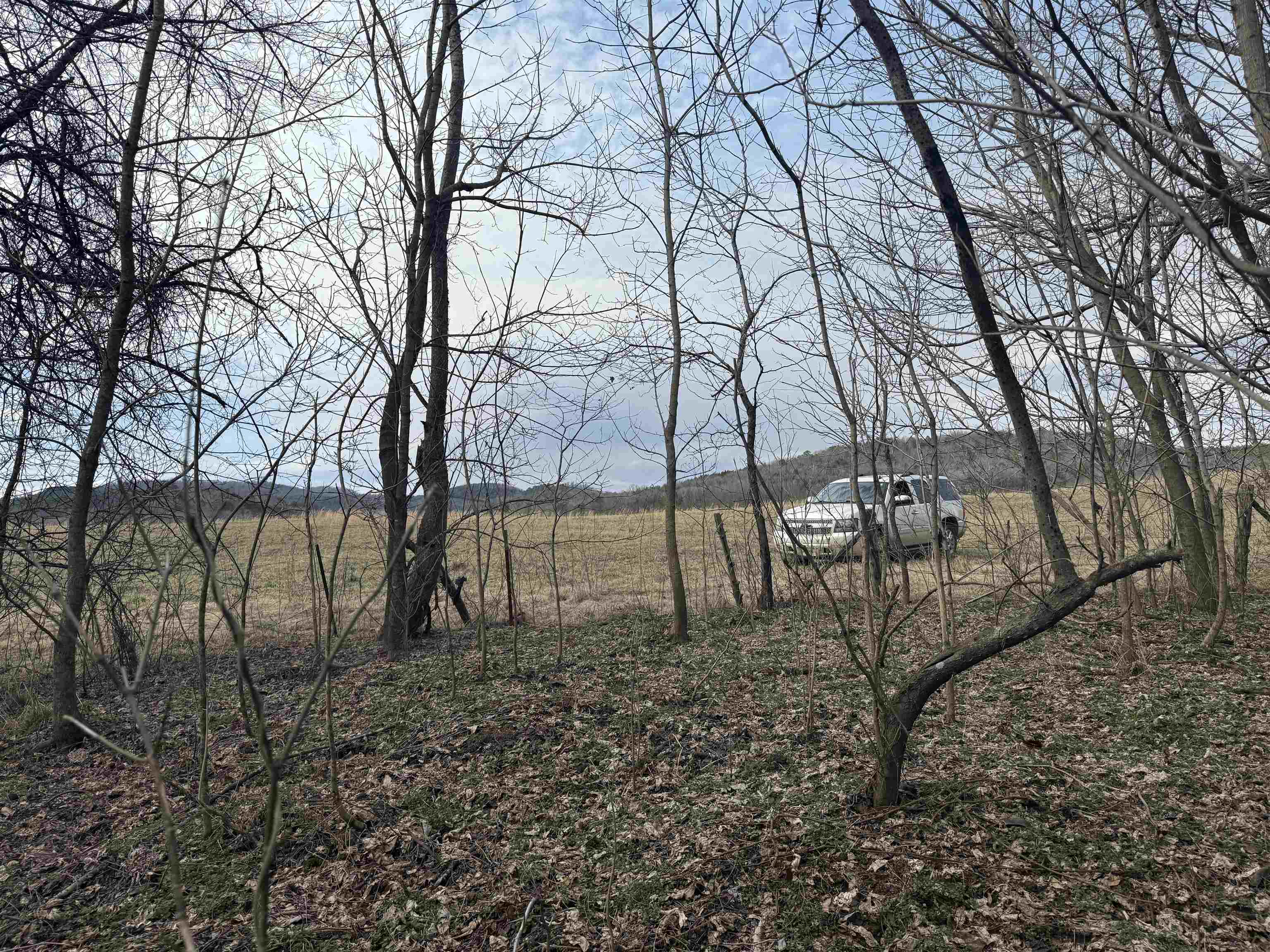 River Oaks - Land