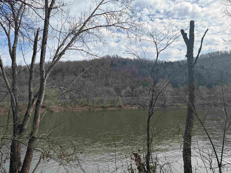 OWNER FINANCING AVAILABLE:  This 1-acre riverfront property on the famous White River offers 125 feet of river frontage. It’s in an excellent location just 1.5 miles upriver from JoJo’s Restaurant and Jack’s Trout Dock, and only 2.5 miles upriver from Angler’s Restaurant and boat dock. With access off Highway 5, this tract provides both convenience and breathtaking scenery.  Located across the highway from the Ozark National Forest and the Sylamore Mountain Bike Trail, this property is also just minutes from Blanchard Springs Caverns and the Ozark Folk Center, making it an ideal spot for outdoor enthusiasts.  This lot features a beautiful, cleared building area that gently slopes down toward the river, with mature timber adding natural beauty and privacy. If you love the Mountain View, Arkansas area, and want to own a prime White River property, this tract is for you! Whether you want a great weekend getaway location or a permanent riverfront retreat, this property is a rare find at just $99,500. The owner is also offering financing on this tract with a 15% down payment. Don't miss your chance to own a piece of the Ozarks—contact us today!
