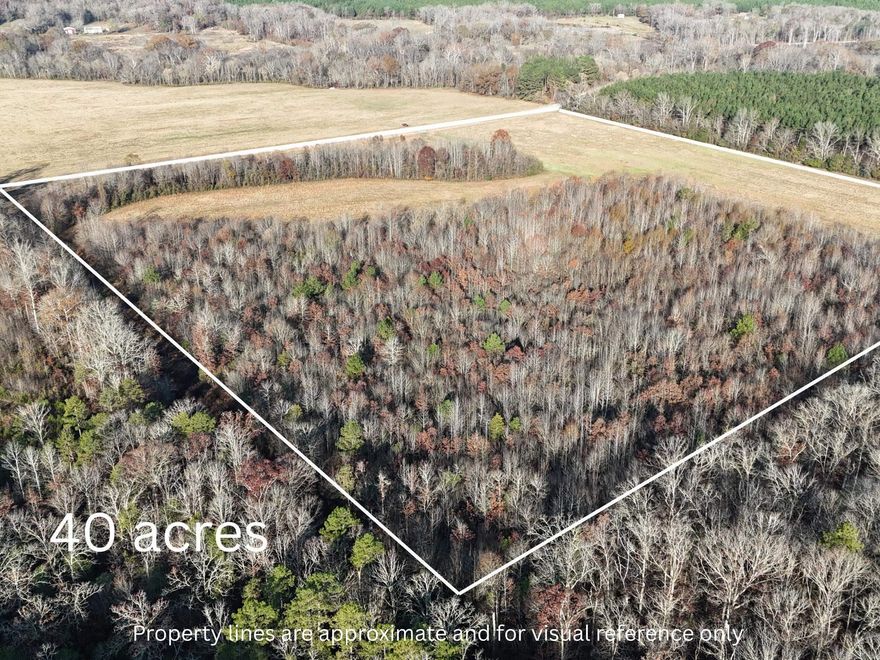 Discover the perfect blend of open pasture and mature timber on this beautiful 40-acre tract in Conway County. With approximately 21.9 acres of productive pasture currently yielding quality hay, this property offers immediate agricultural value and plenty of room for livestock or hobby farming.  The remaining timber acreage provides excellent wildlife habitat, making this an attractive option for hunters and outdoor enthusiasts. Deer and turkey are abundant, and the natural layout of the land creates ideal spots for stands, food plots, or quiet nature enjoyment.  The versatility, privacy, and natural beauty make this acreage a rare find in Conway County.