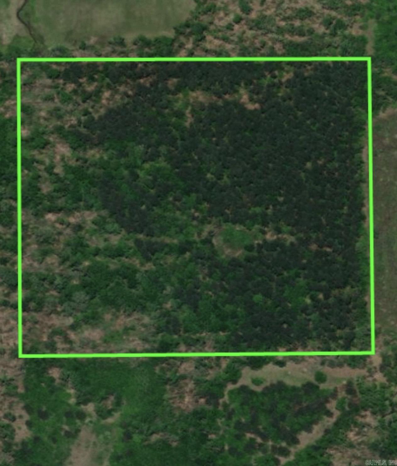 If you’re looking for seclusion, privacy and space, this property is for you. Build your dream home, hunting lease or harvest the timber…possibilities galore! This property has had timber planted and harvested throughout the past 40 years and maintained for that purpose until the last 10 years. Bring your plans and create your sanctuary!
