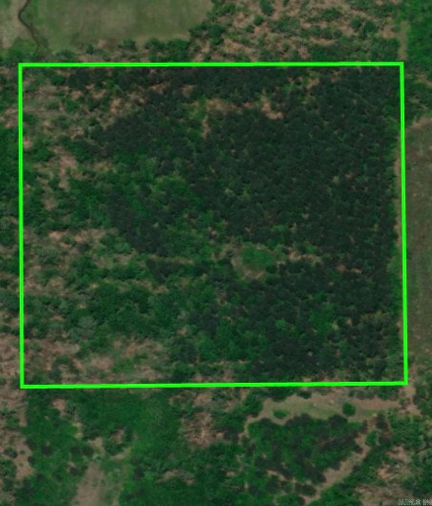If you’re looking for seclusion, privacy and space, this property is for you. Build your dream home, hunting lease or harvest the timber…possibilities galore! This property has had timber planted and harvested throughout the past 40 years and maintained for that purpose until the last 10 years. Bring your plans and create your sanctuary!