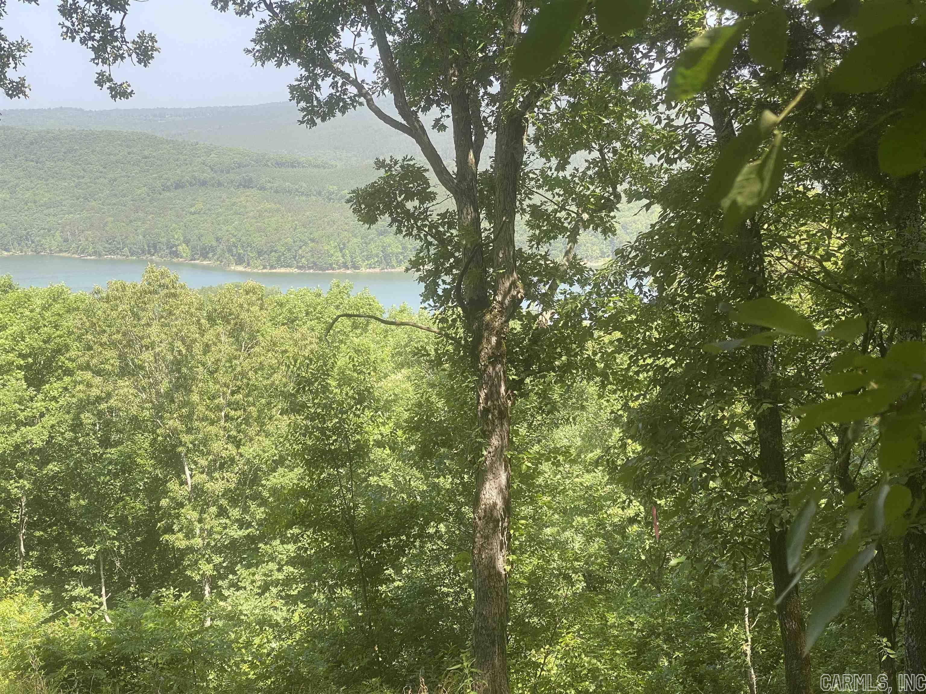 The Bluffs - Land
