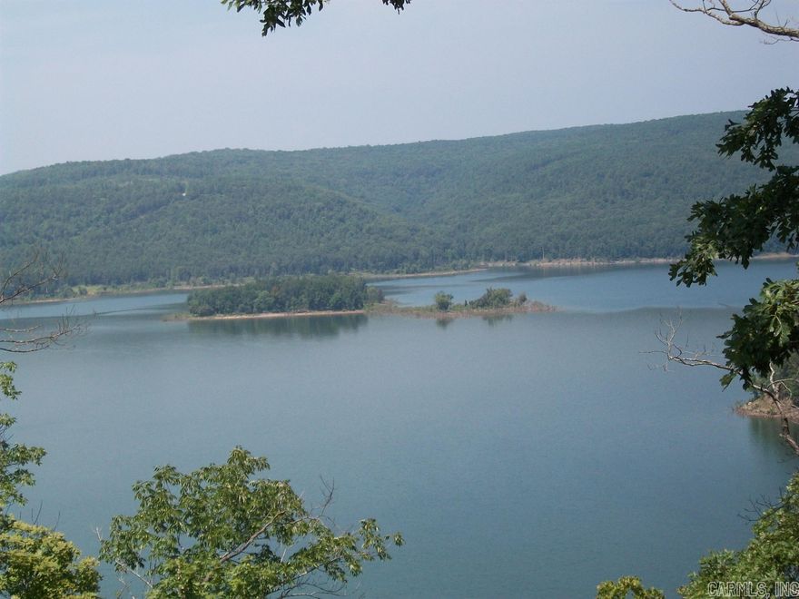 Nice lakefront lot. Excellent building site for permanent residence or weekend lake house. Must see to appreciate. Mineral rights do not convey.