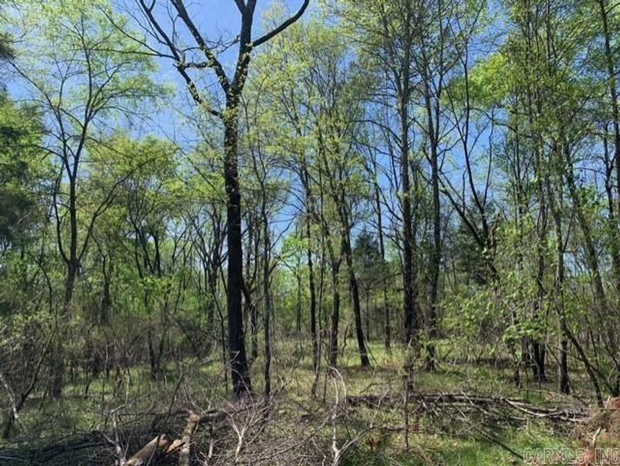 Over 20 acres directly across from Bismarck Schools and only a half mile to Lake DeGray. Minutes to Hot Springs. Kimzey water and fiber already at edge of the property. Beautiful hardwoods and rolling hills make it the perfect place to build your dream home or project. Outside city limits, no restrictions. So much TLC has been given to this land!