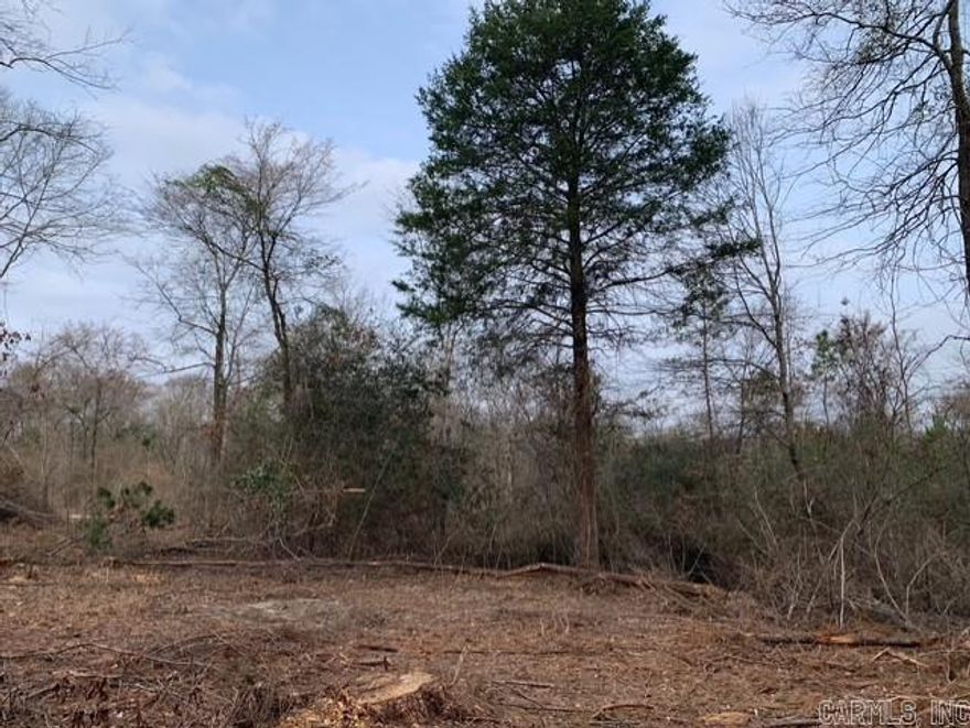 Over 20 acres directly across from Bismarck Schools and only a half mile to Lake DeGray. Minutes to Hot Springs. Kimzey water and fiber already at edge of the property. Beautiful hardwoods and rolling hills make it the perfect place to build your dream home or project. Outside city limits, no restrictions. So much TLC has been given to this land!