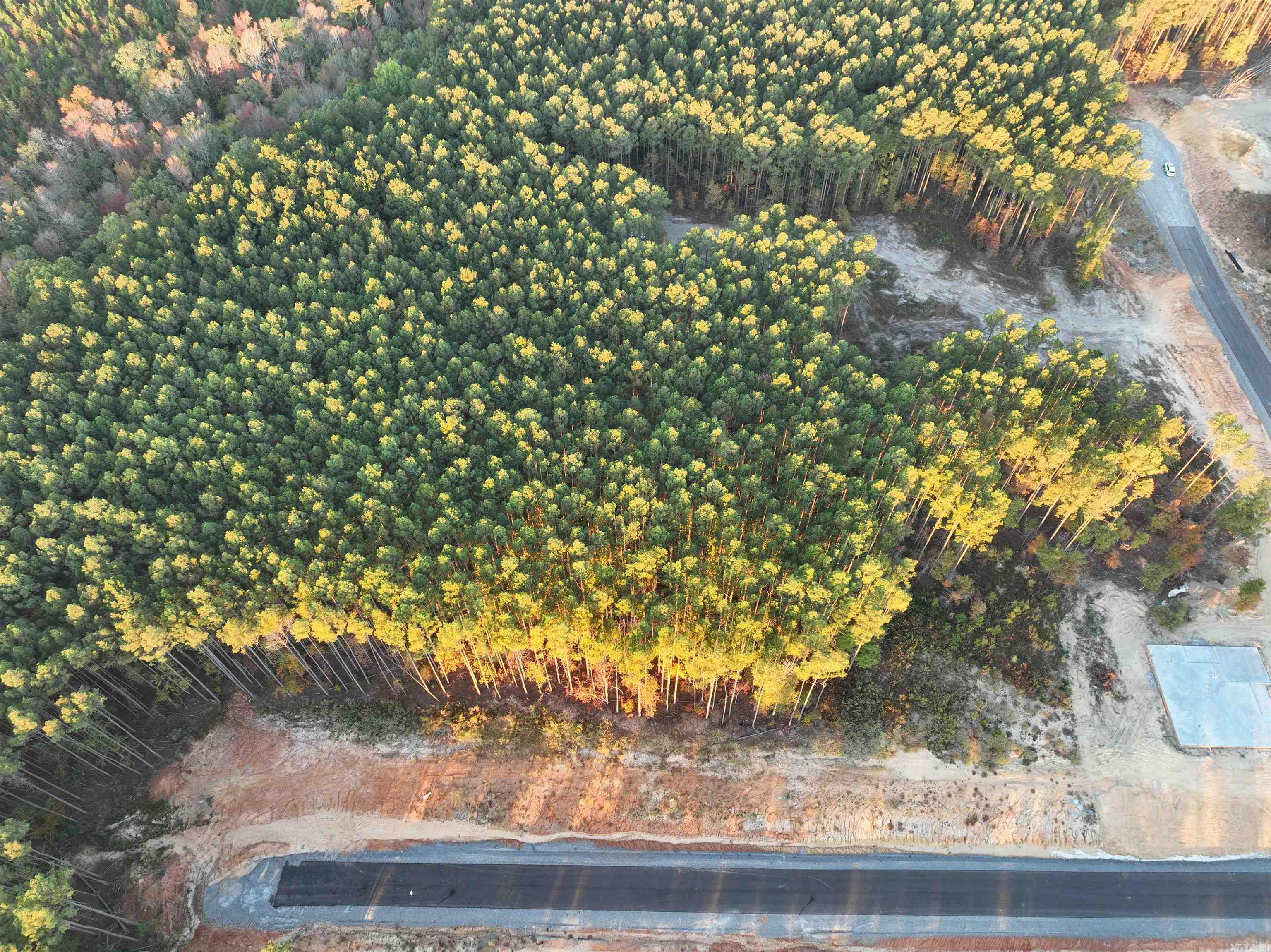 Small acreage tract south of Little Rock. Asphalt road and utilities installed. Ready for construction.