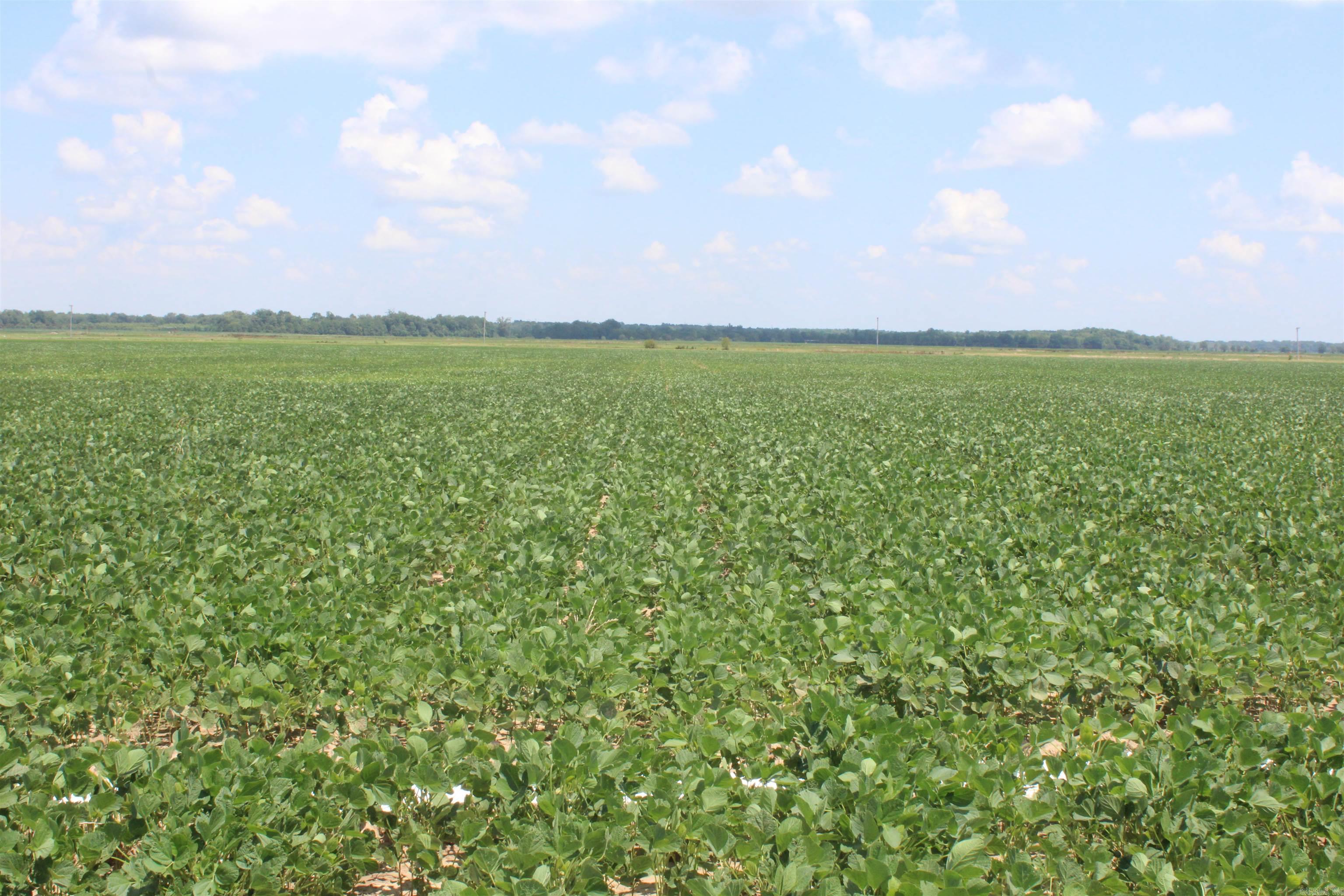 Not in Subdivision - Farm