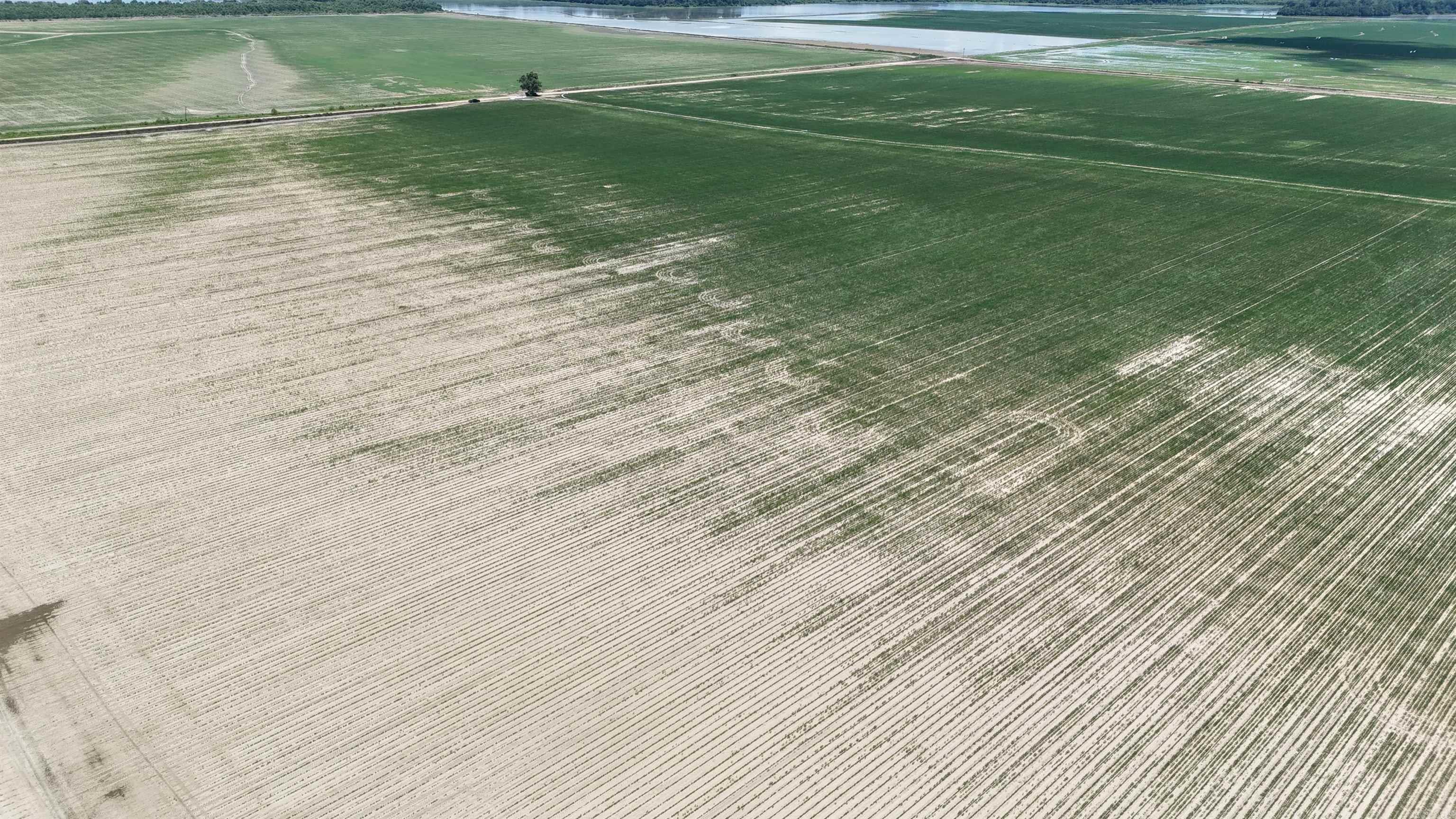 Not in Subdivision - Farm