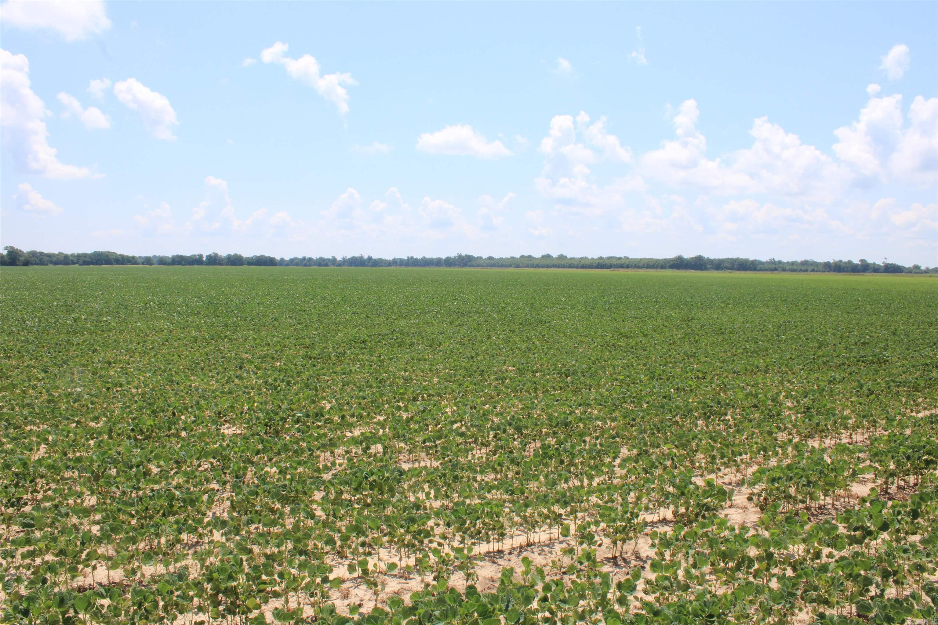 Not in Subdivision - Farm