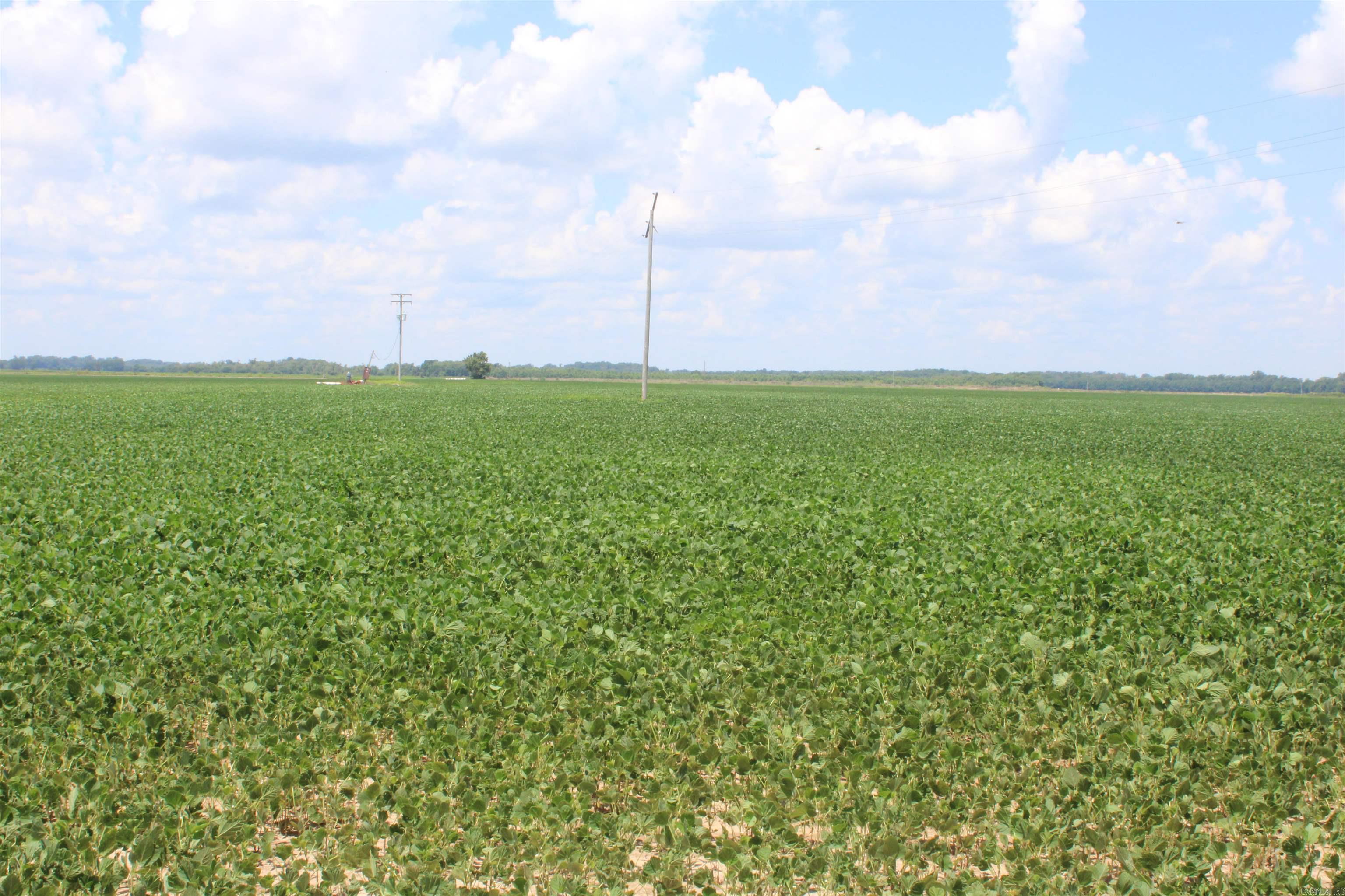 Not in Subdivision - Farm