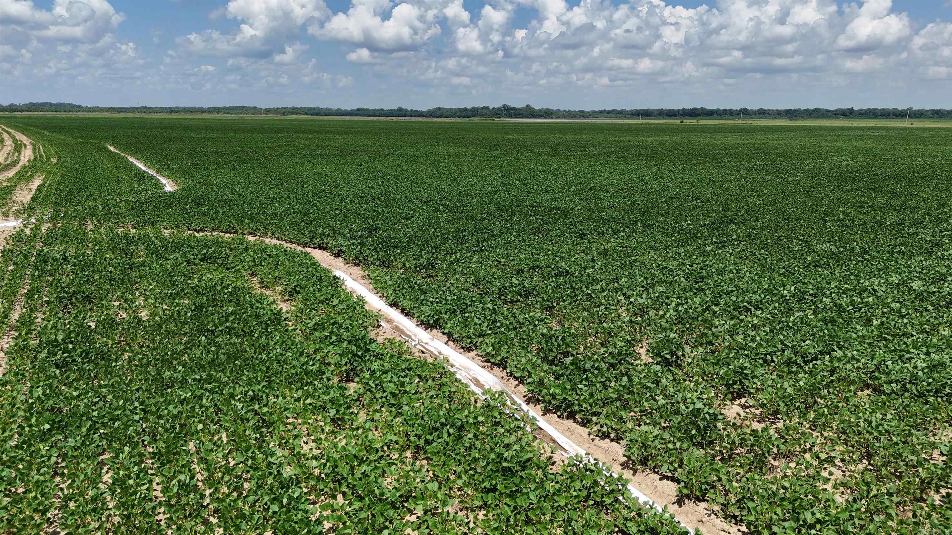 Not in Subdivision - Farm