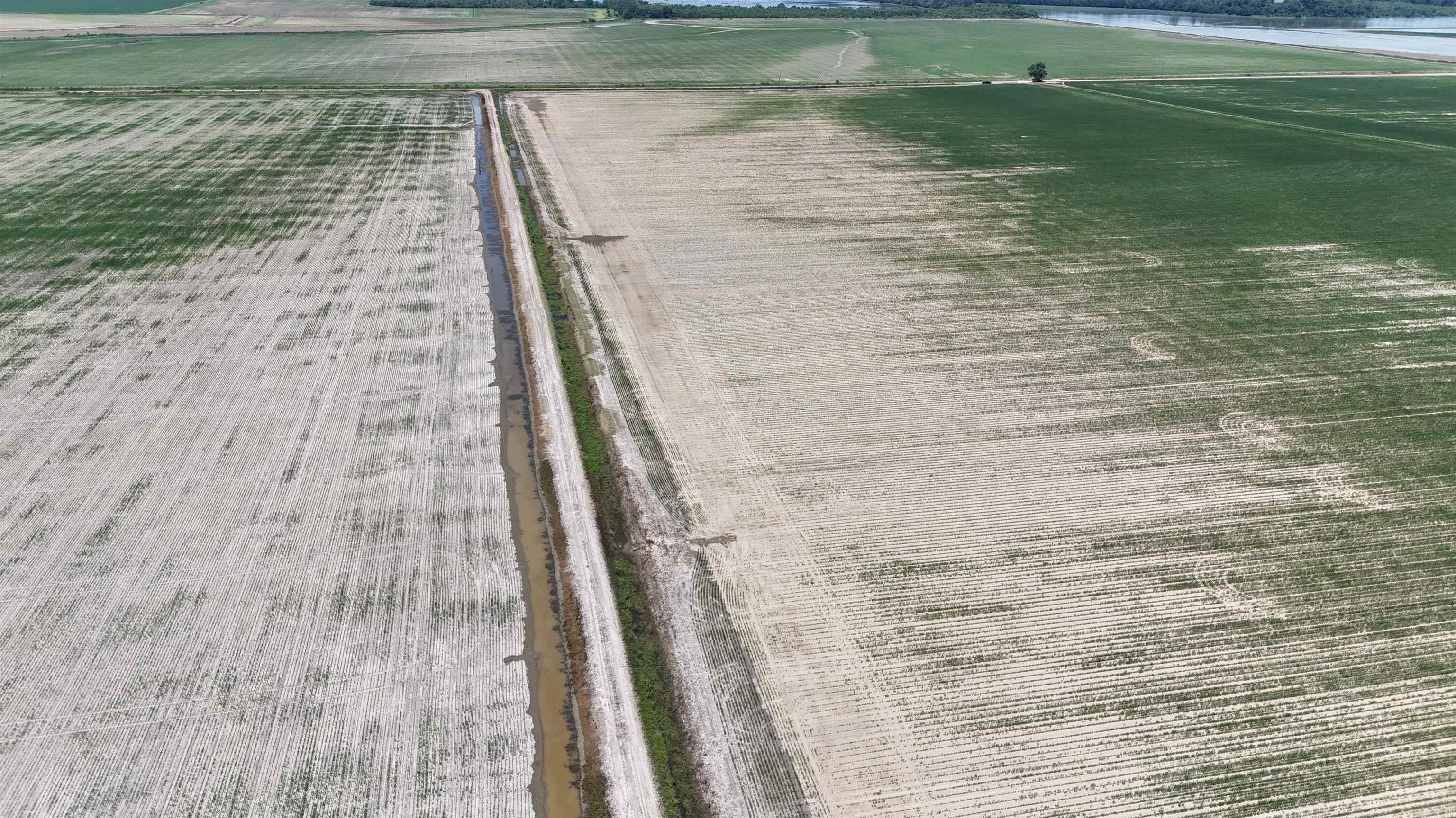 Not in Subdivision - Farm