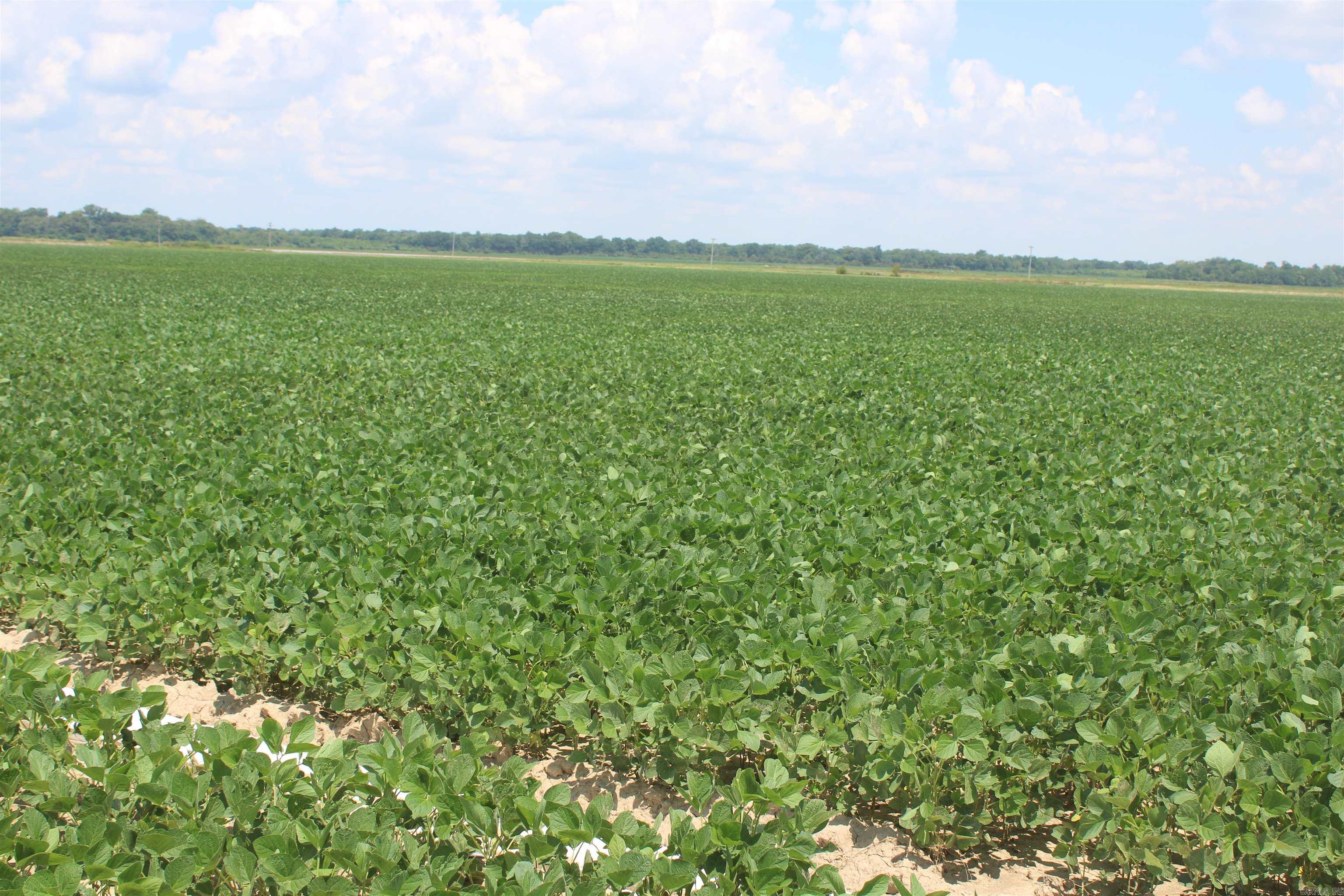 Not in Subdivision - Farm