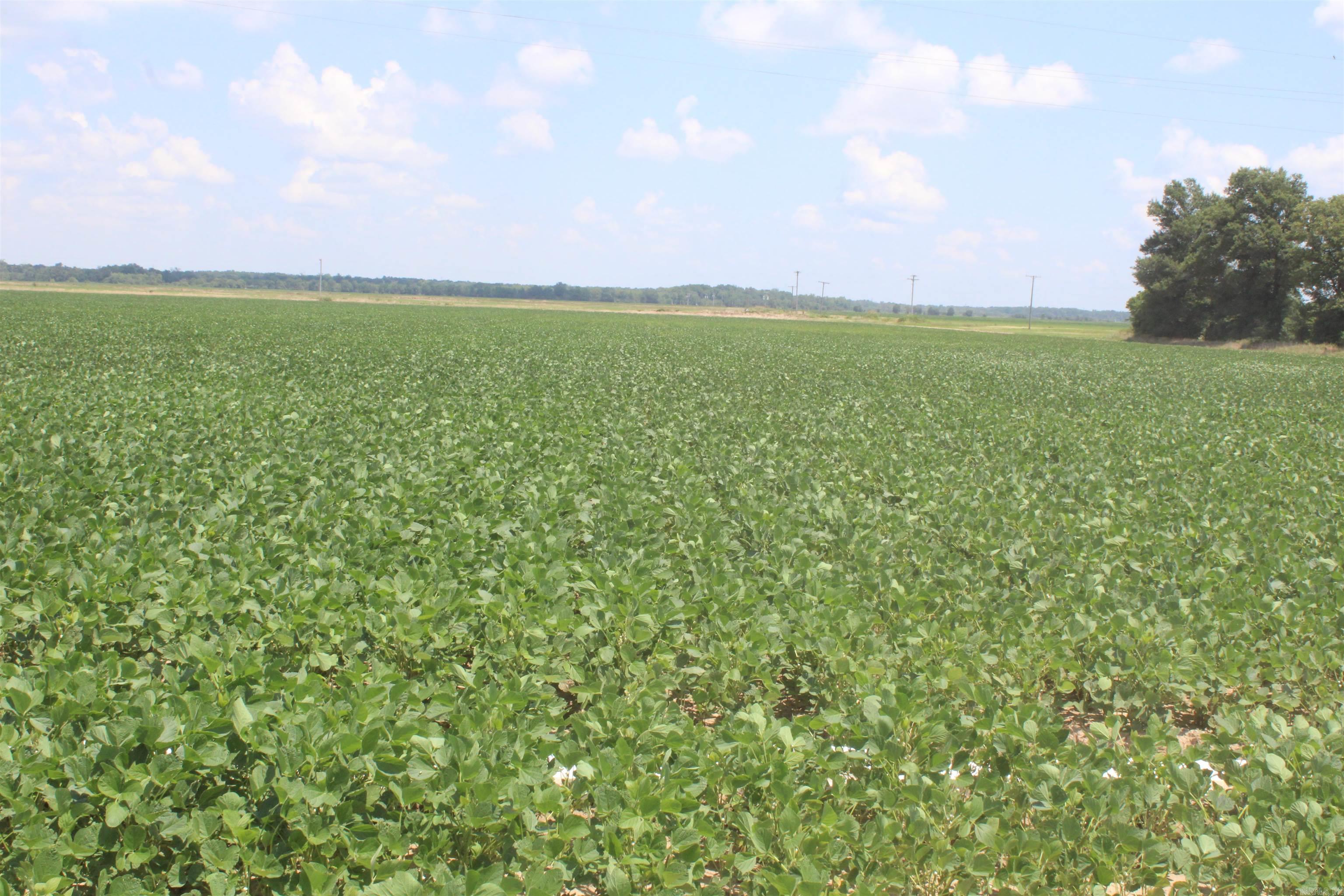 Not in Subdivision - Farm